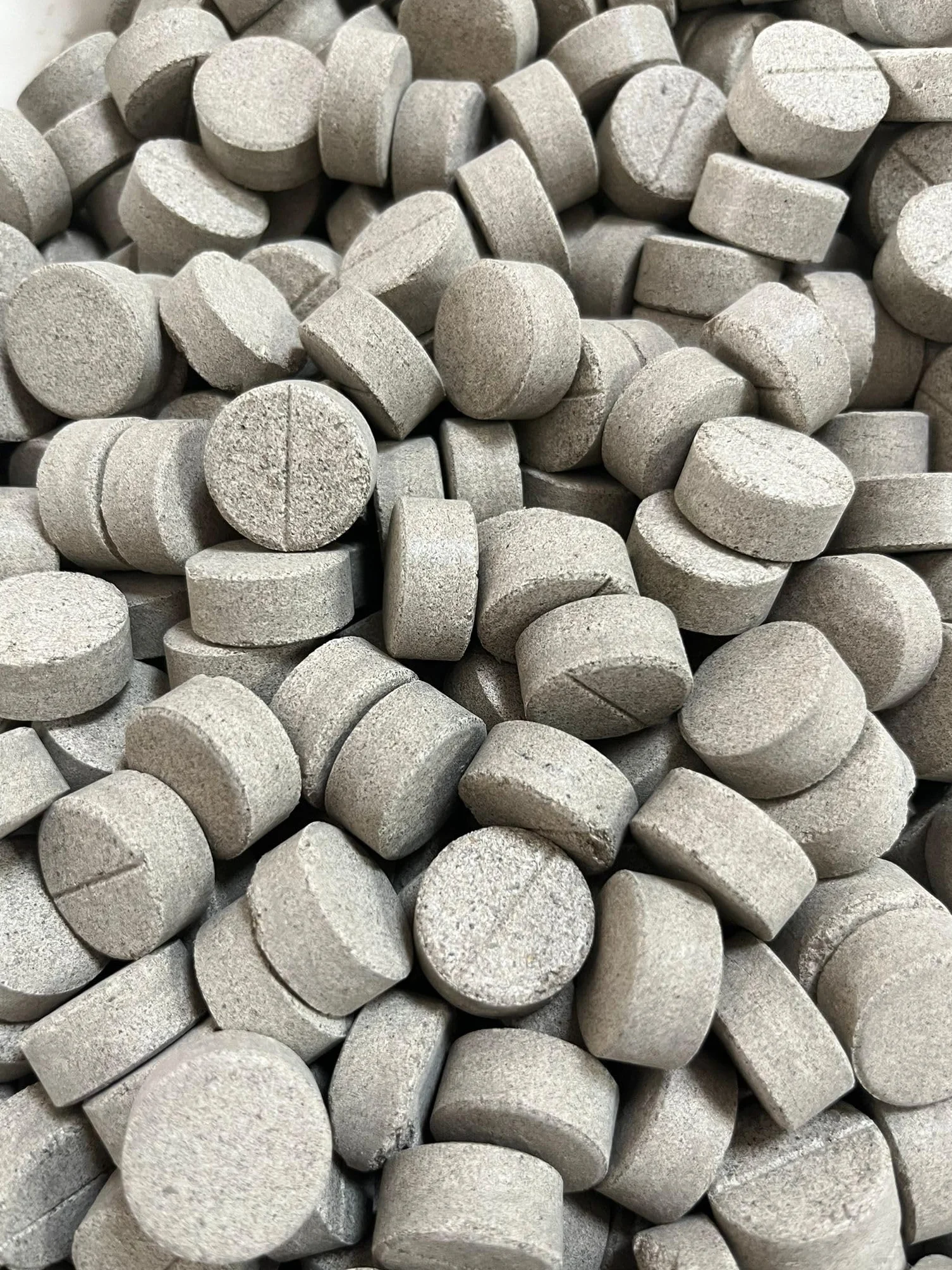 Bioradis Micorrizas en pastillas y bacterias enraizantes 250 uds 1kg