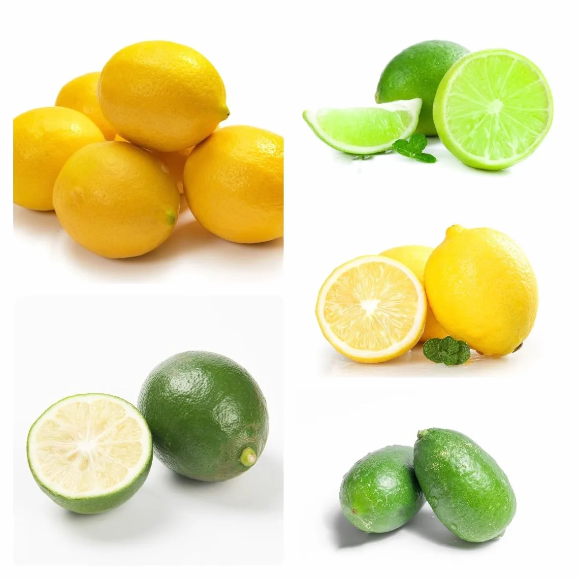 Semillas de Limonero Resistentes 120 Piezas Limón Cítrico Fruta Fresca Plantas de Balcón