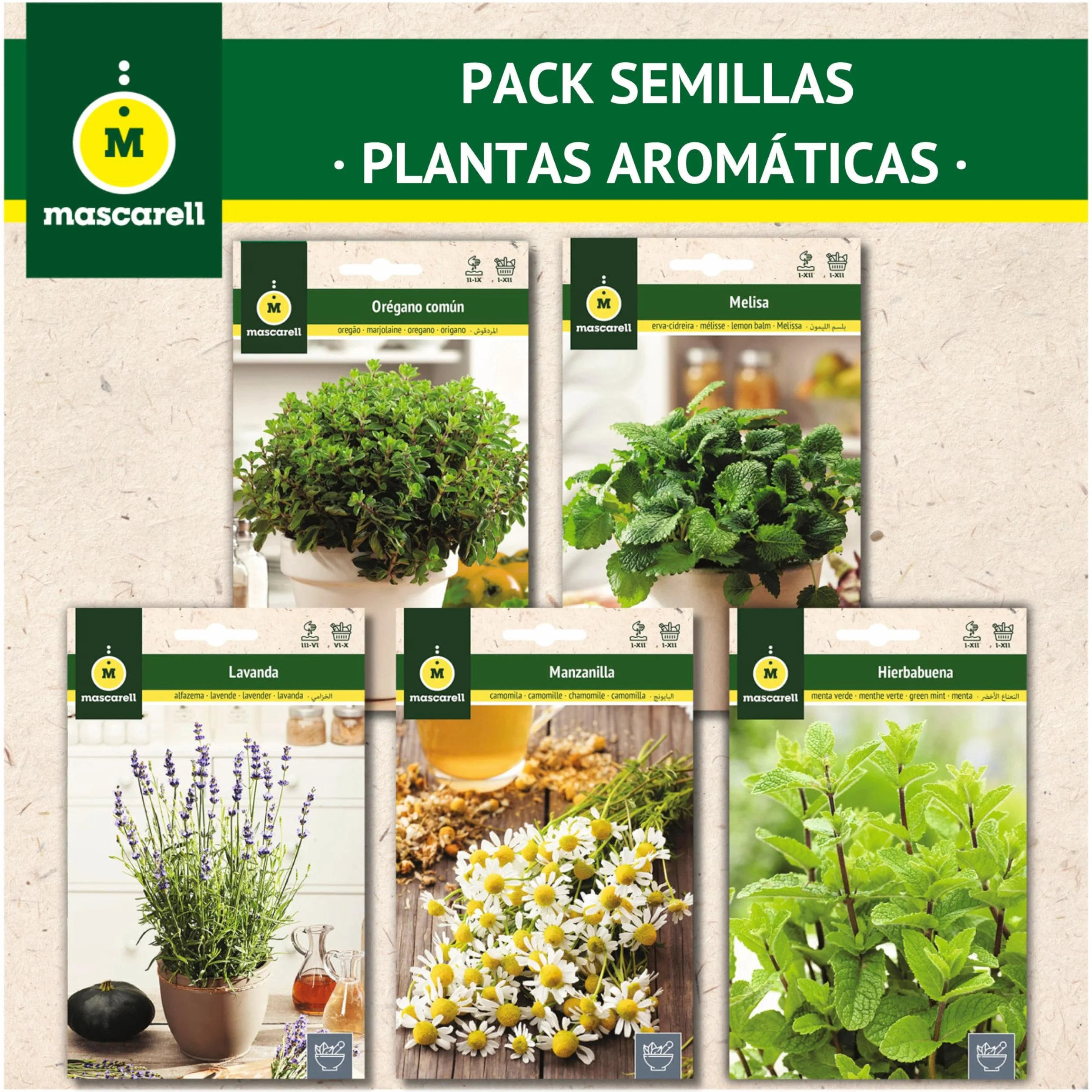 Mascarell Semillas Pack Semillas Plantas Aromáticas Kit Huerto en Casa