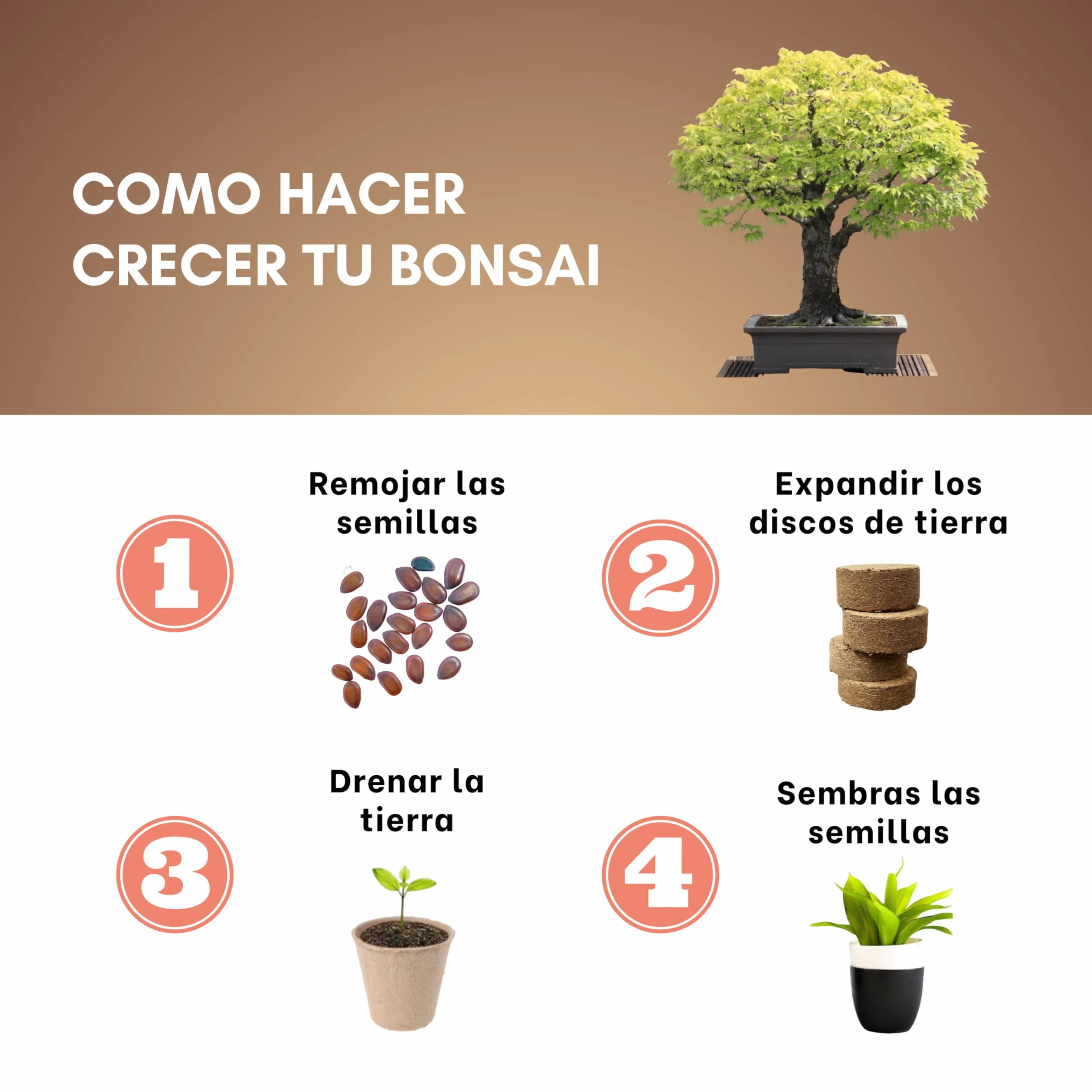 Kit Bonsai para Principiantes - Semillas y Herramientas para Cultivar Plantas Bonsai Naturales