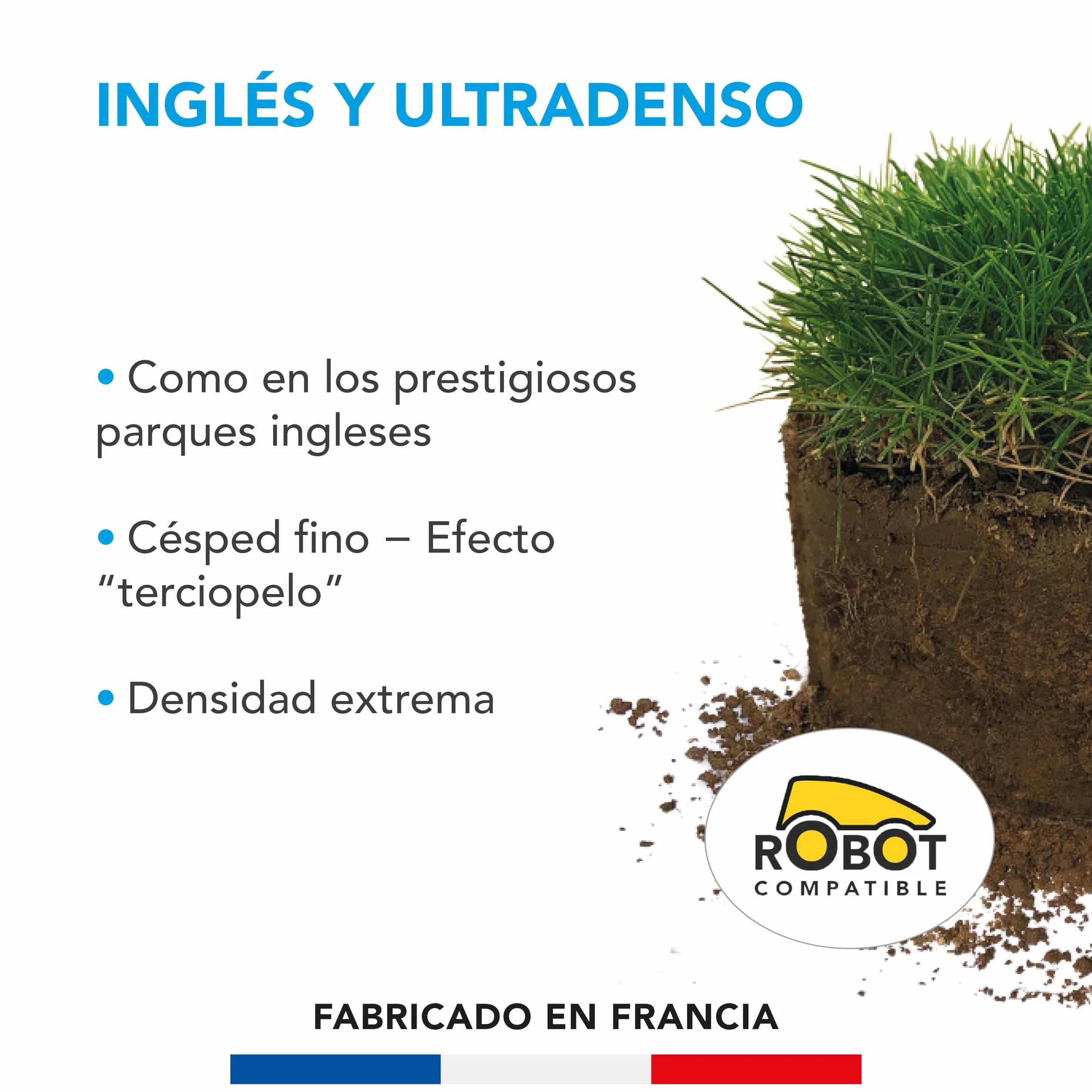 BARENBRUG Césped Inglés Ultra Denso 1Kg