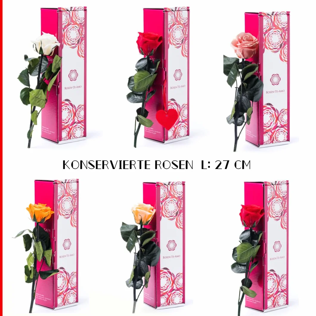 Rosa eterna preservada roja caja regalo design refinado flores naturales domicilio decoracion hogar