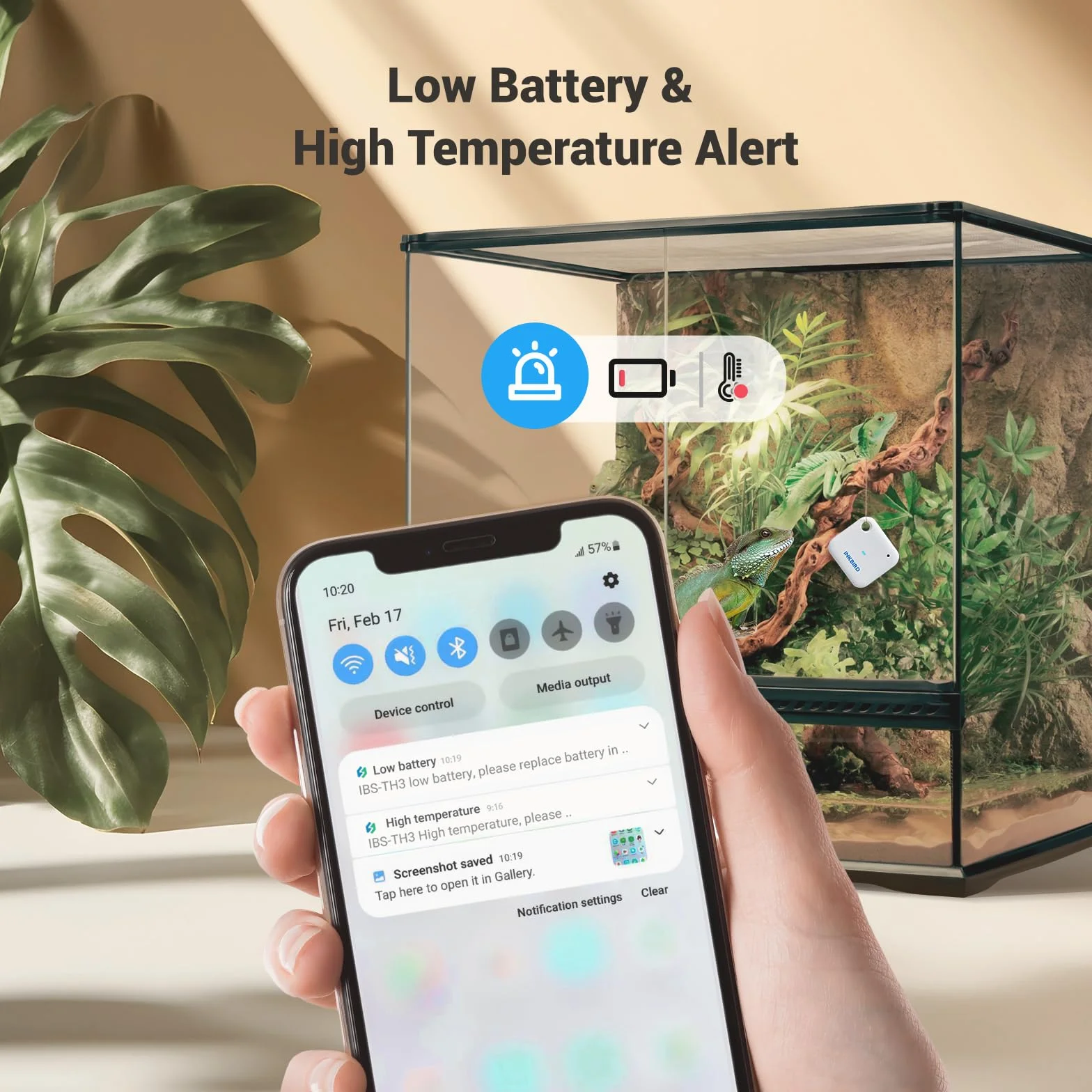 Inkbird Termómetro Higrómetro WiFi Sensor Temperatura Interior App Alerta Almacenamiento Datos Digital Invernadero Bodega Planta Mascota