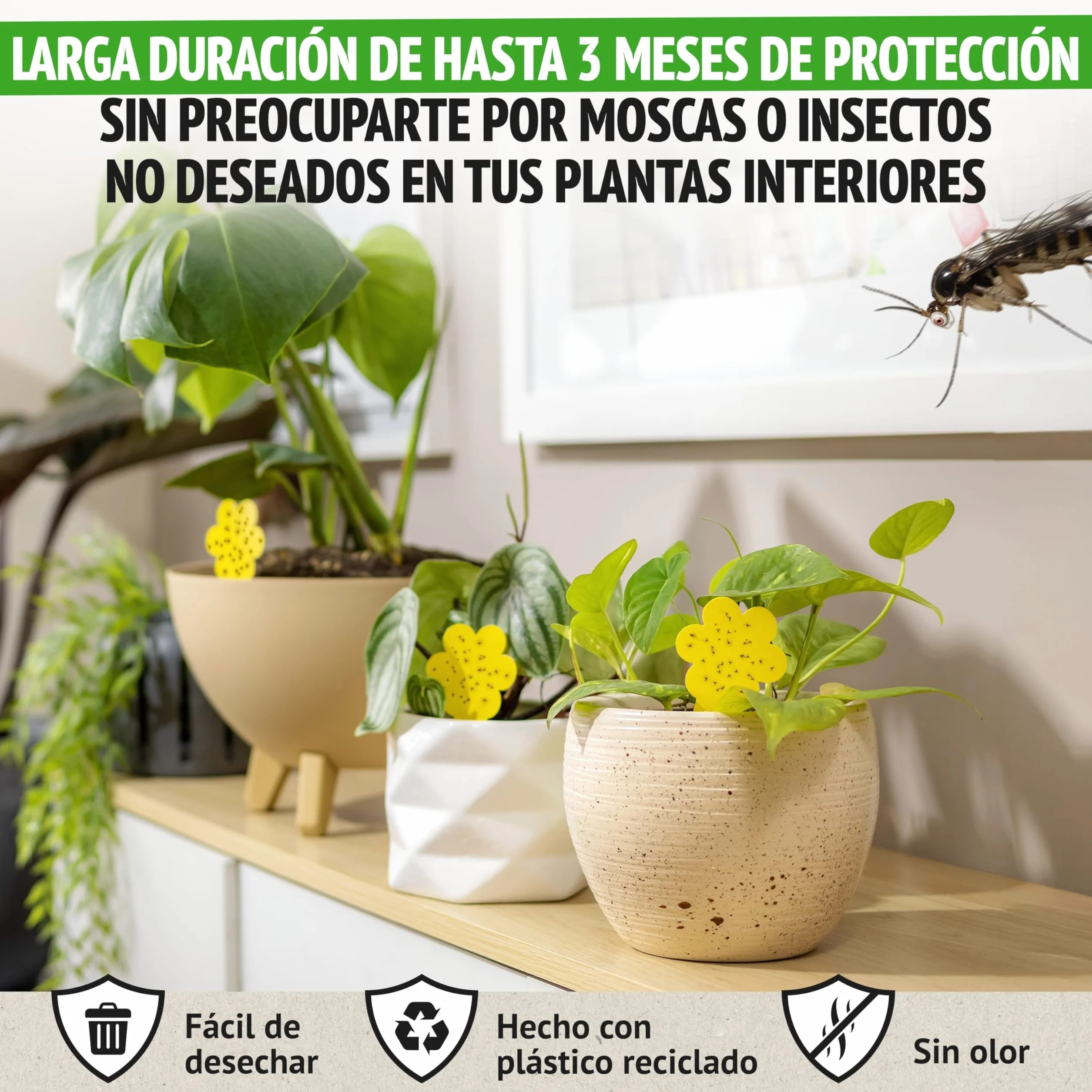 Trampas para Moscas Pack 30 Adhesivas Plantas Interiores No Tóxico Ecológico 3 Meses