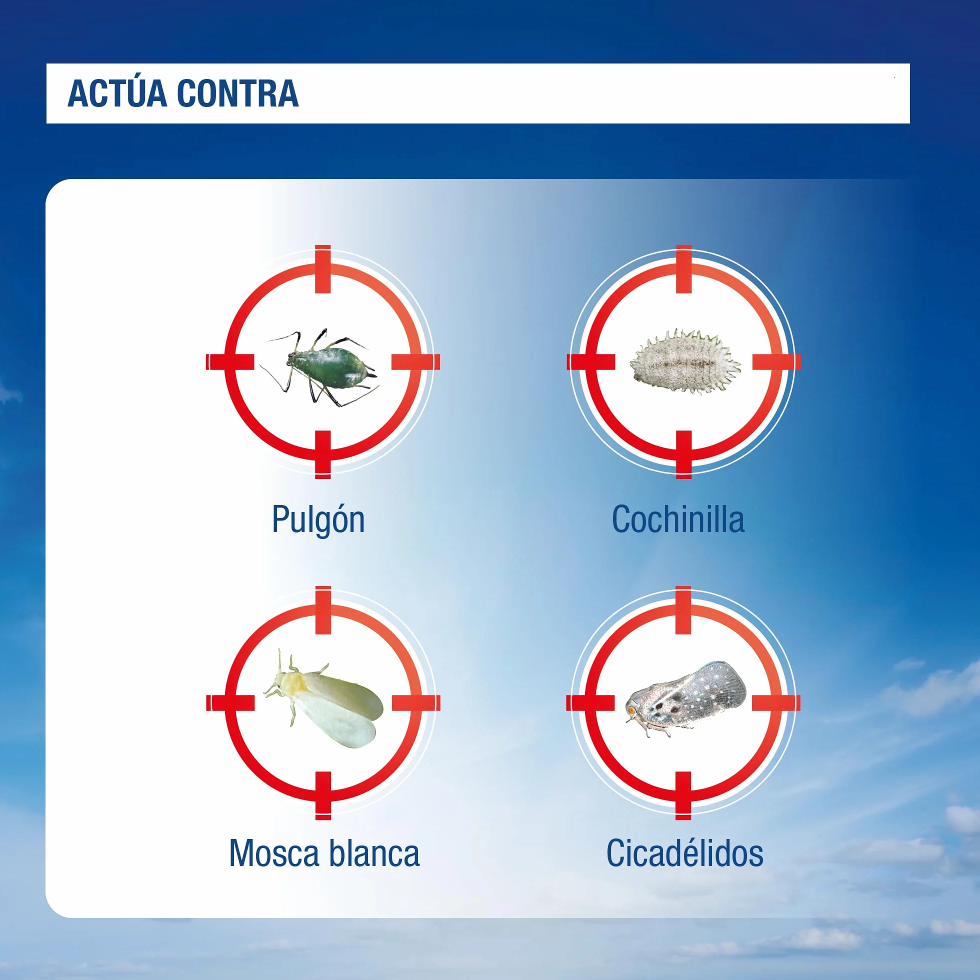 Spray Insecticida Sistémico 800 ml Protección contra Pulgones Cochinilla Mosca Blanca Cicadélidos Resistente Lluvia