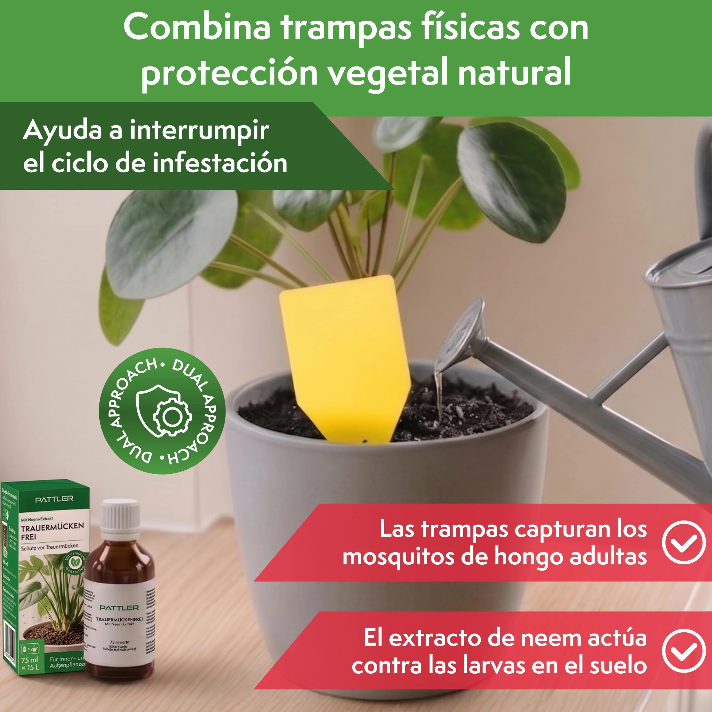 PATTLER Trampas Cromáticas Amarillas para Plantas 30 Unidades