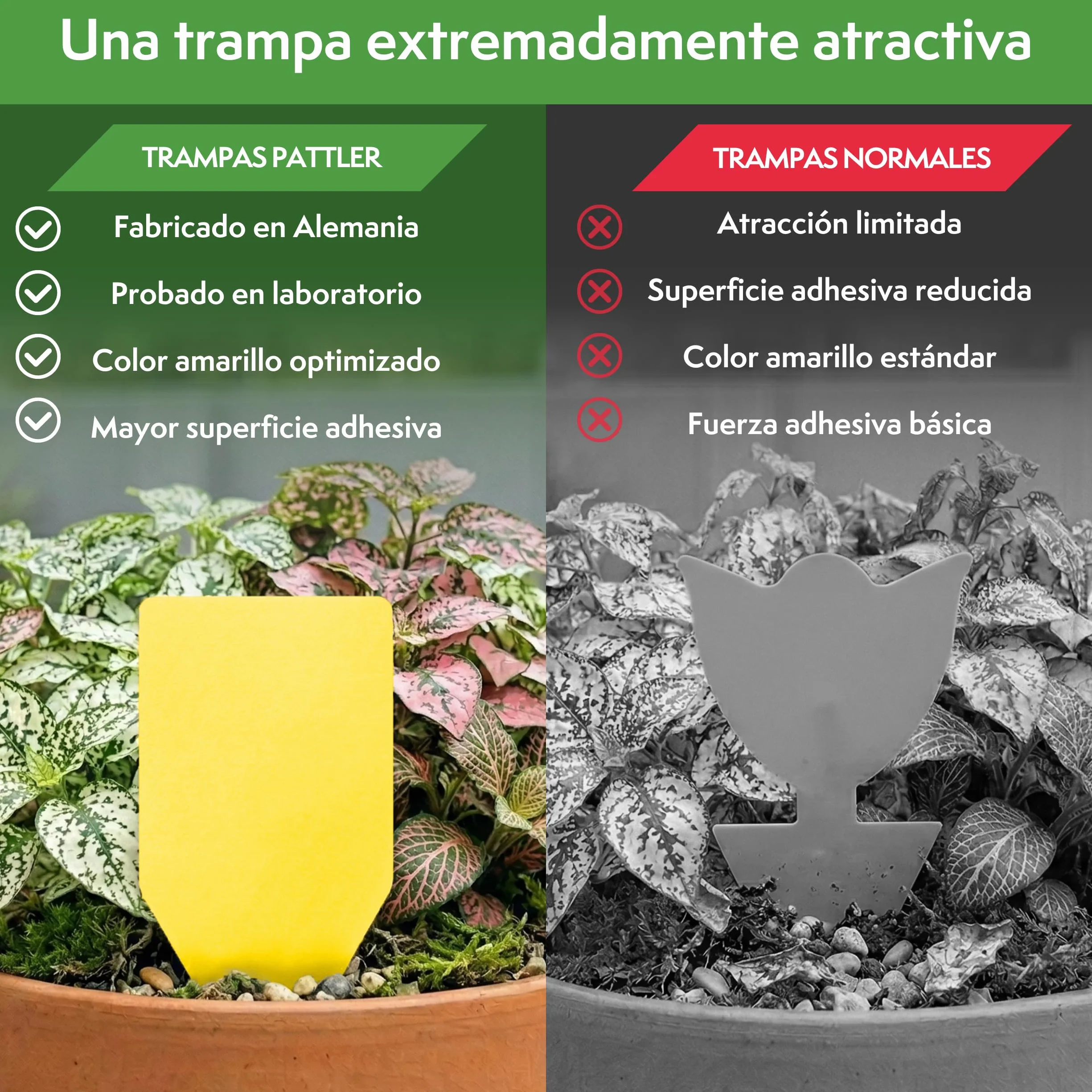 PATTLER Trampas Cromáticas Amarillas para Plantas 30 Unidades