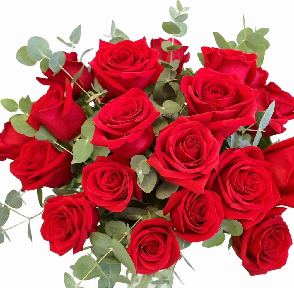 Ramos de Flores Naturales Rosas Rojas Eucalipto Fresco Regalo San Valentín