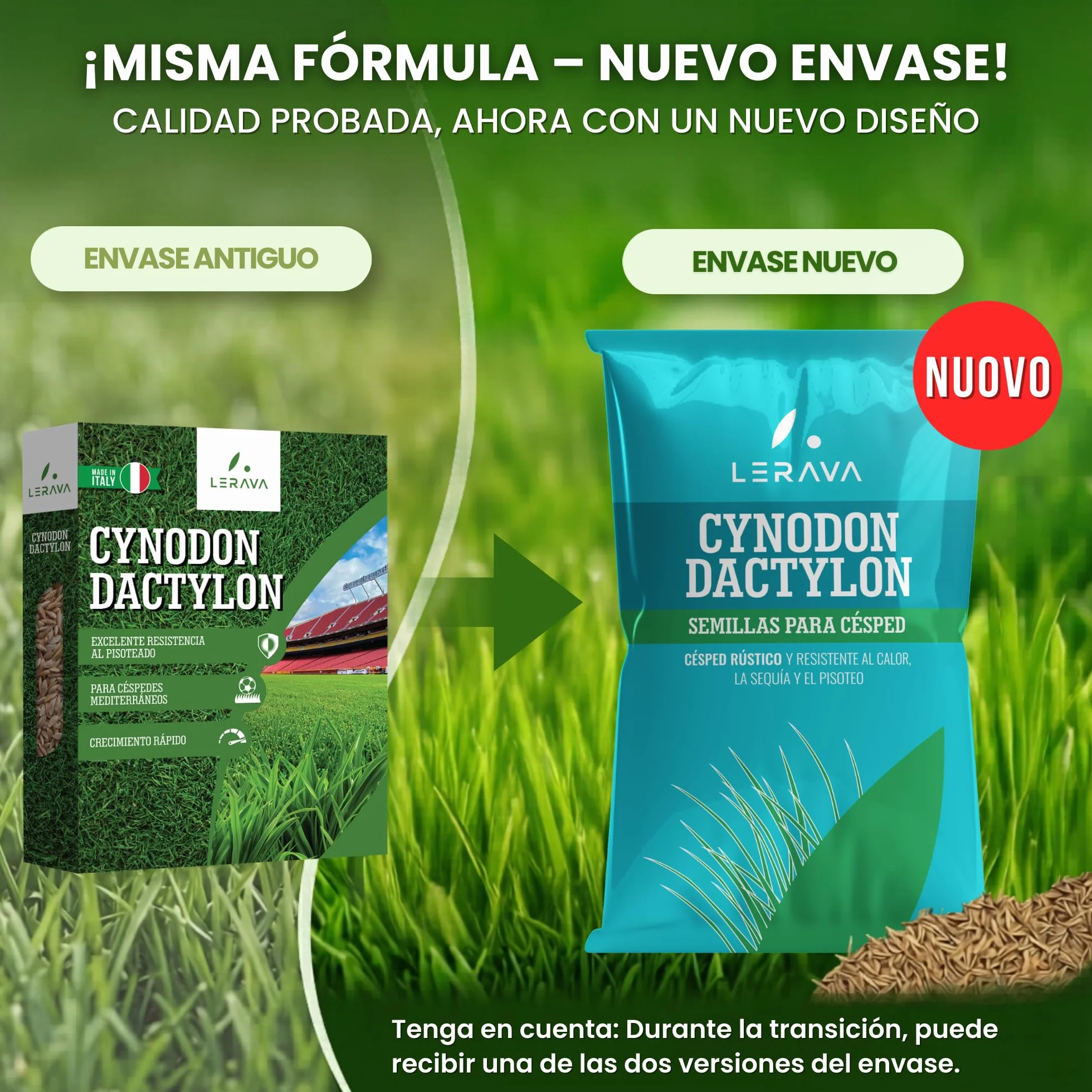 LERAVA Semillas césped grama gruesa 200 g para 20 m² resistente a la sequía