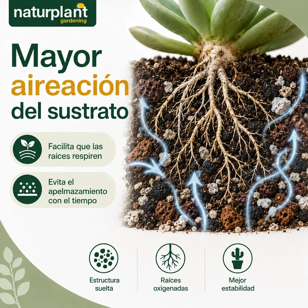 Sustrato Especial para Cactus 5 litros Naturplant