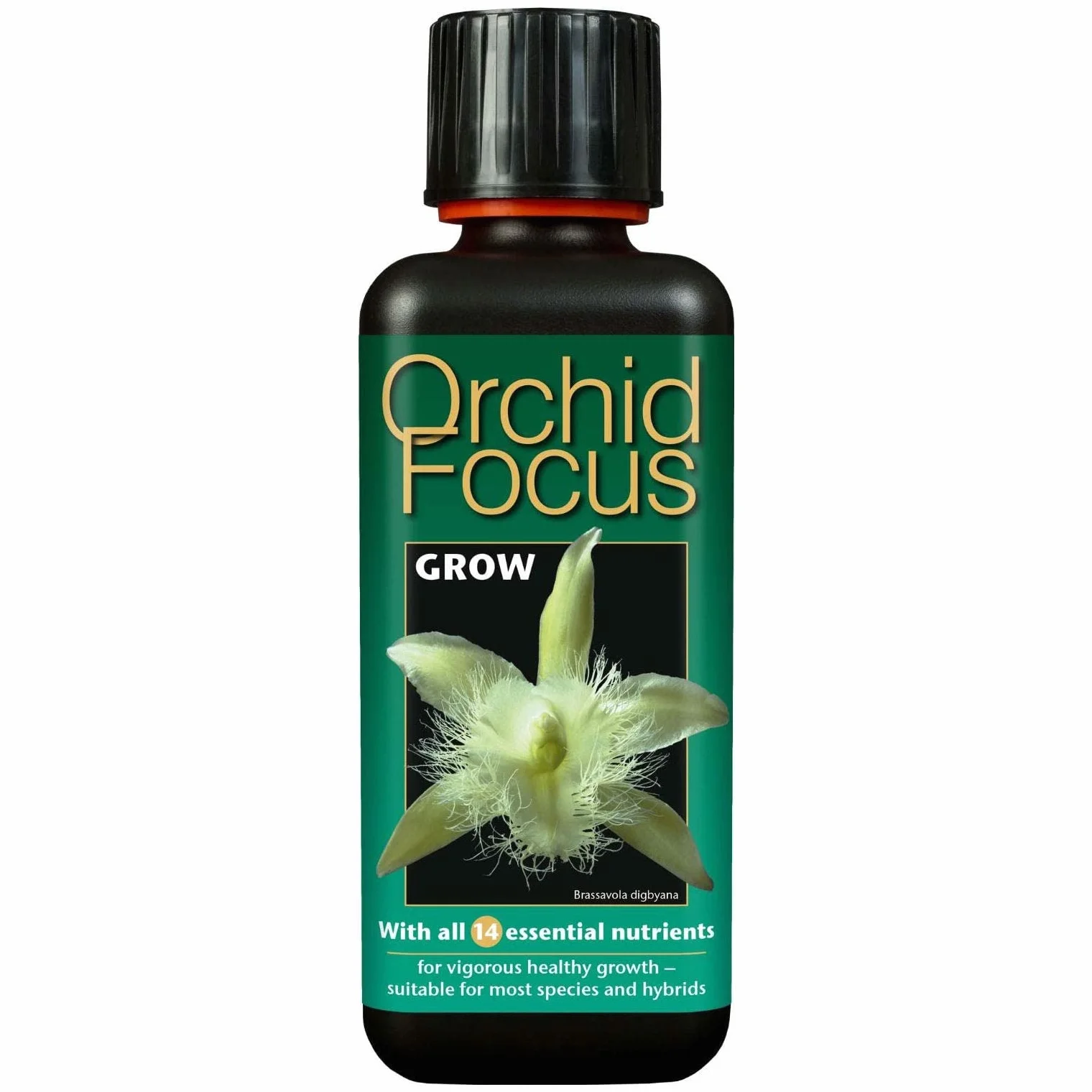 Orchid Focus Grow Fertilizante Líquido Concentrado para Orquídeas 300 ml