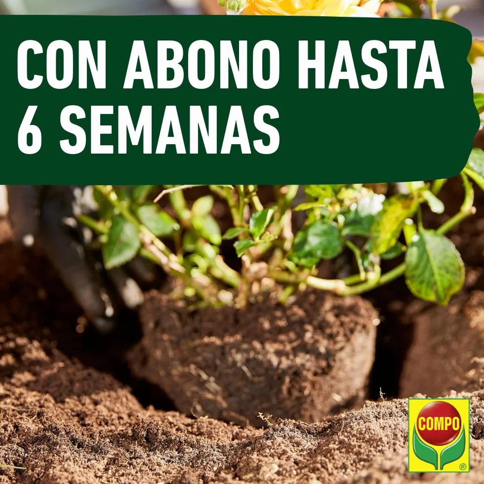 COMPO SANA Substrato Universal 10 L para Plantas de Interior, Terraza y Jardín