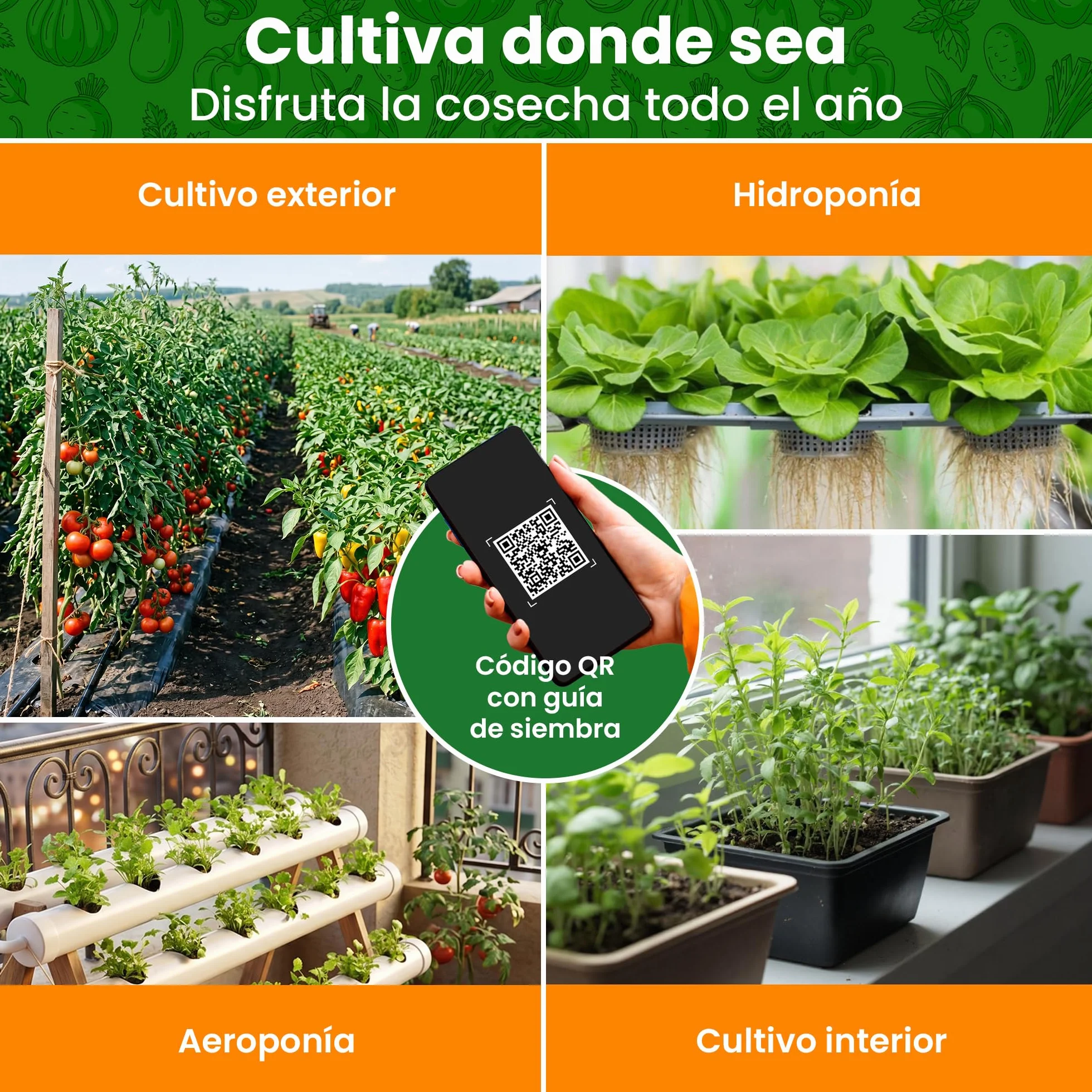 Set de Semillas de Vegetales 15 Variedades TORAF – Tomate, Pepino, Pimiento, Calabacin, Brócoli, Rúcula