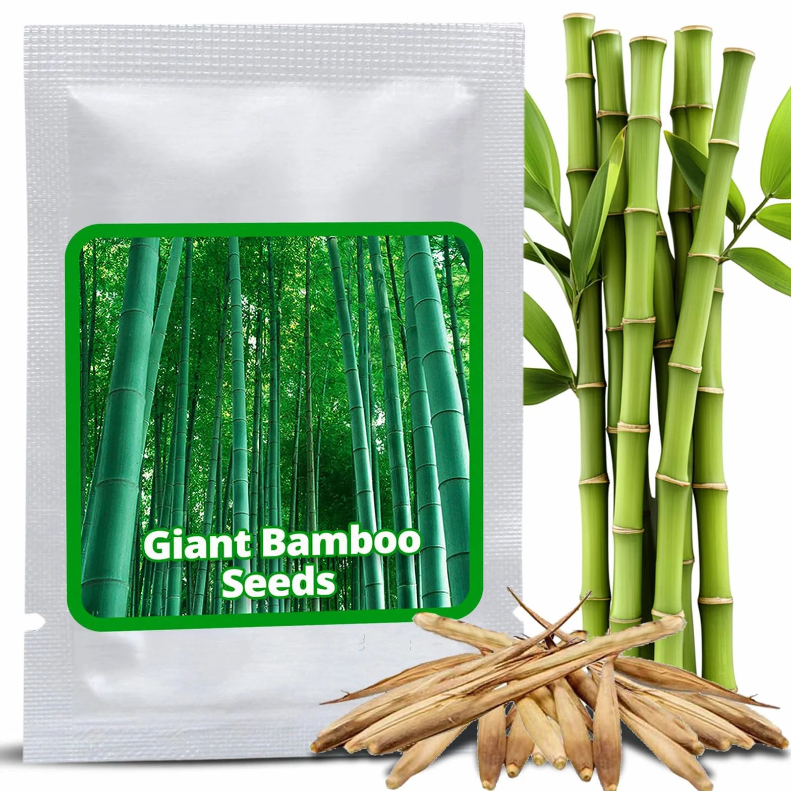 Semillas de Bambú Gigante Magic of Nature (60 uds.) Crecimiento Rápido para Jardín