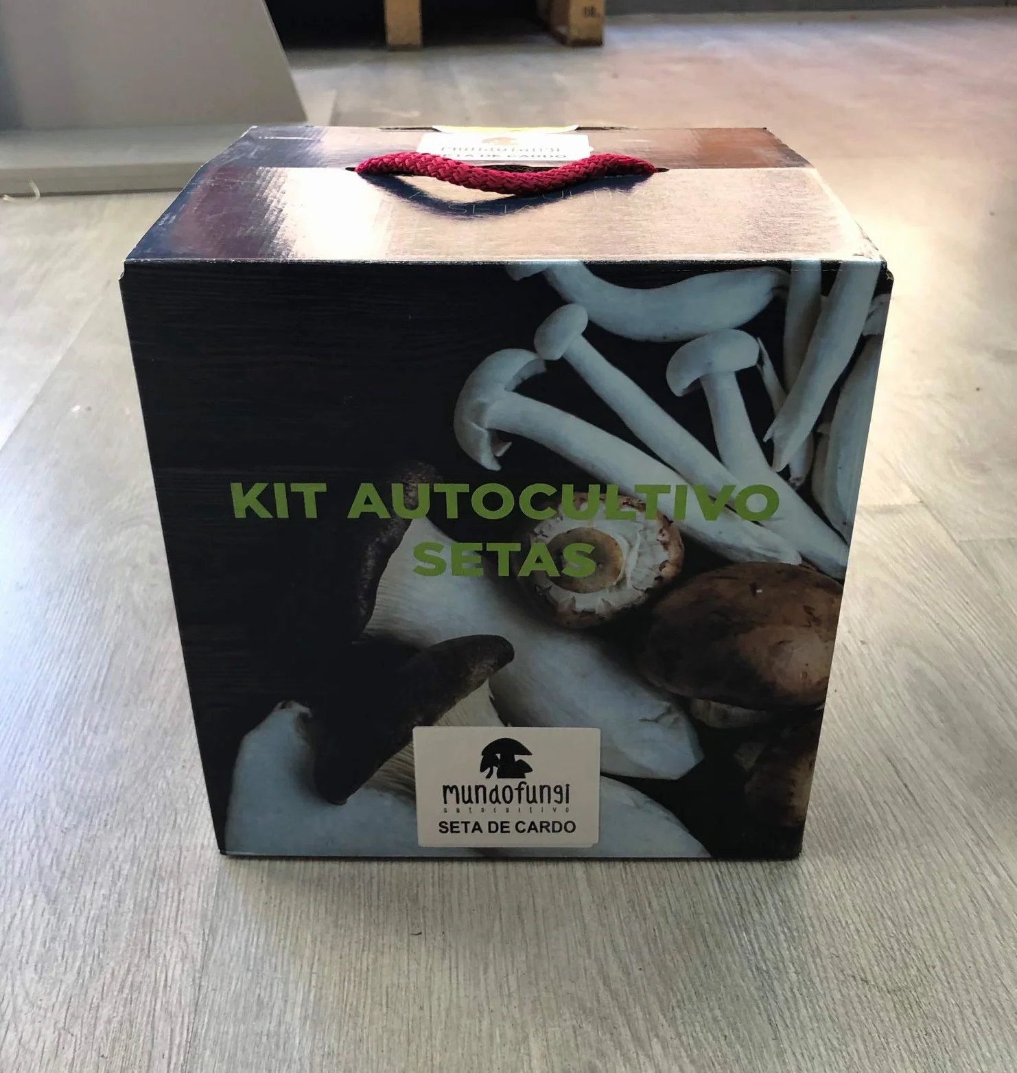 Kit Autocultivo Setas