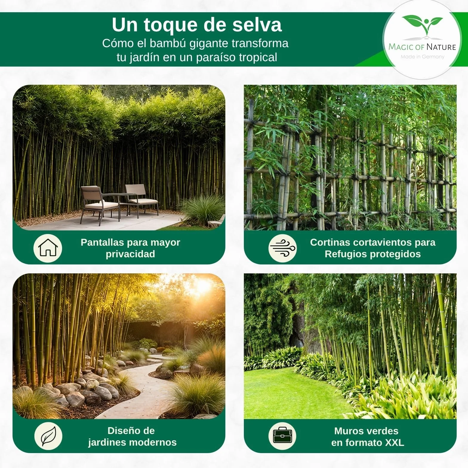 Semillas de Bambú Gigante Magic of Nature (60 uds.) Crecimiento Rápido para Jardín