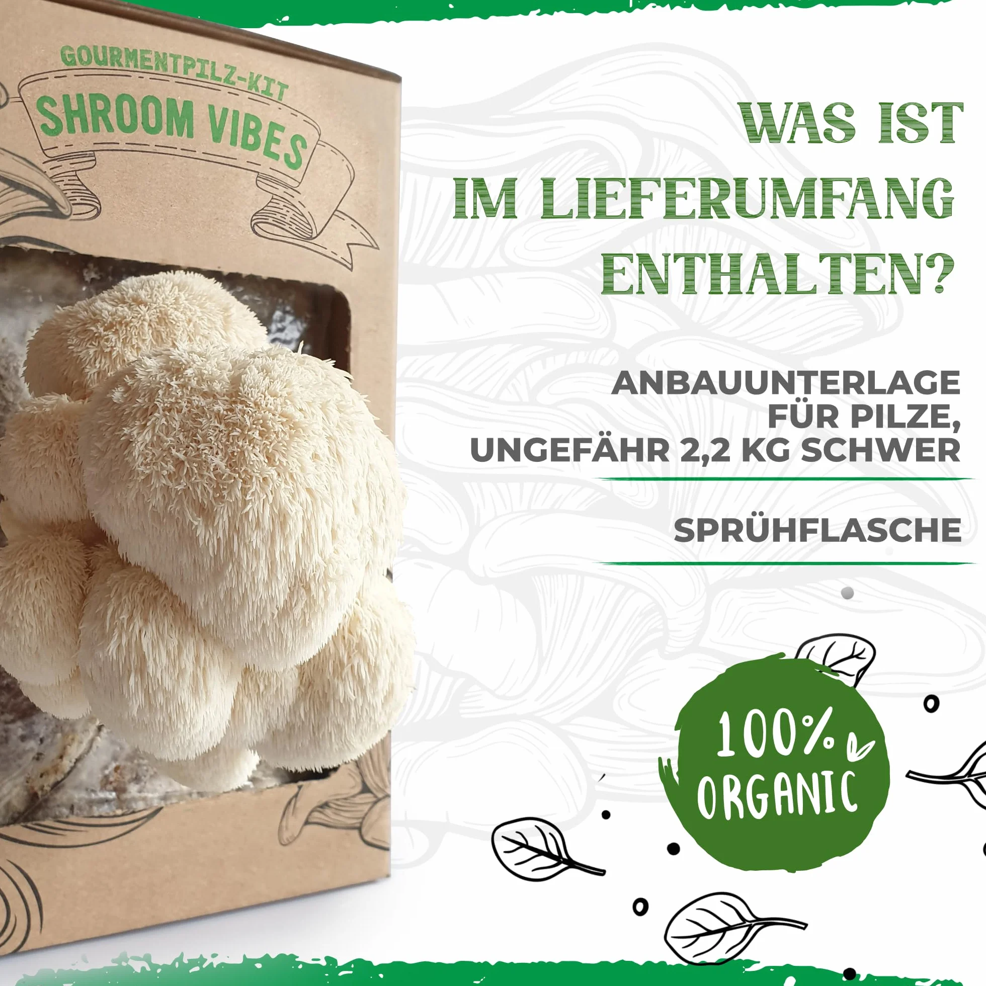 BIO Juego de cultivo de setas Grifón Hericium erinaceus ecológico para hogar