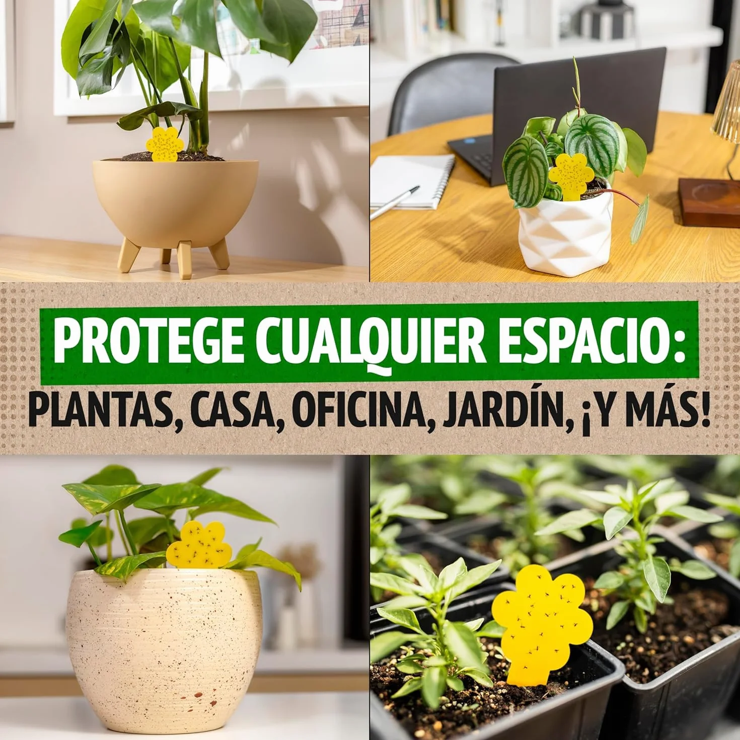 Trampas para Moscas Pack 30 Adhesivas Plantas Interiores No Tóxico Ecológico 3 Meses