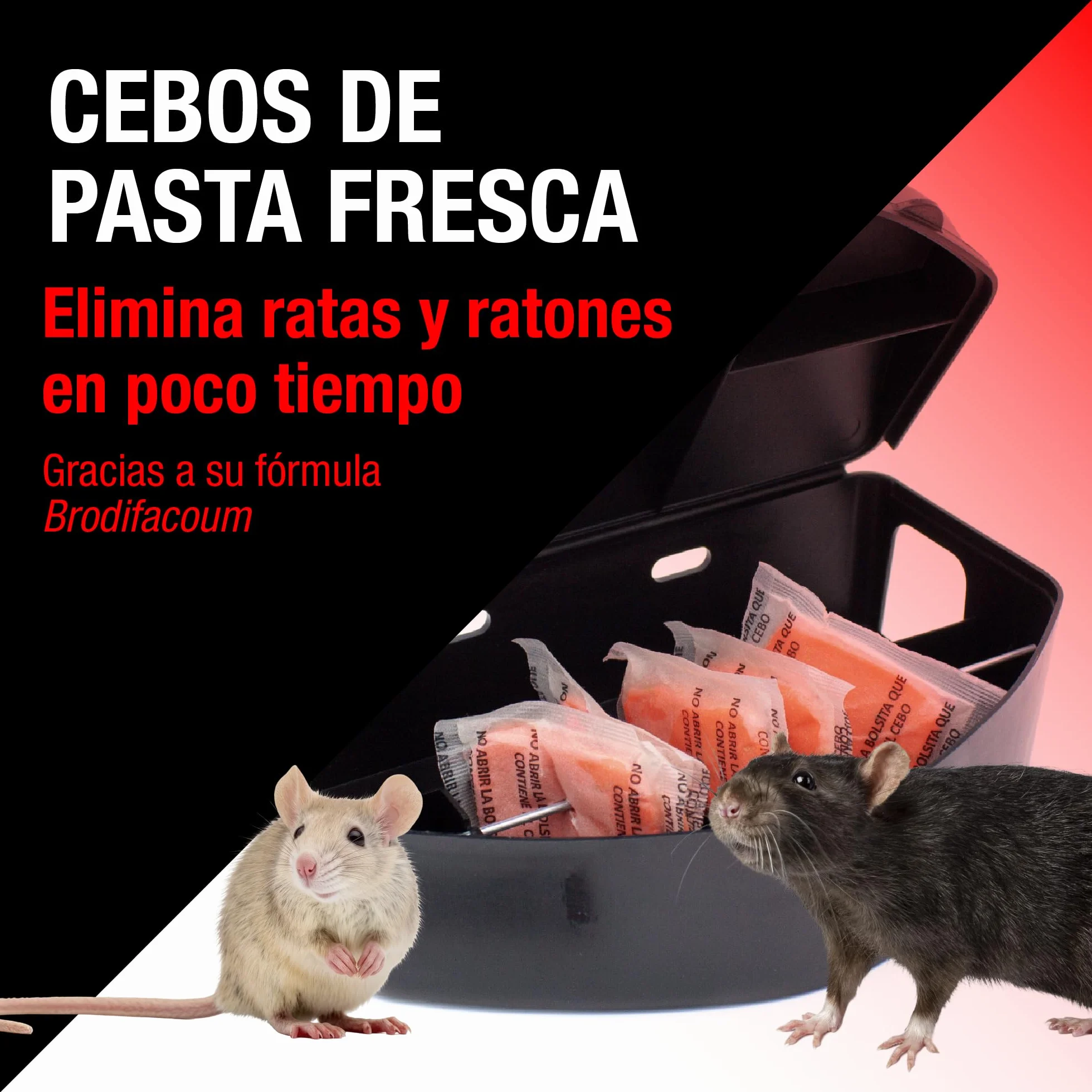 Protect Home Pasta atrayente de ratas y ratones, Alta eficacia, Zonas interiores