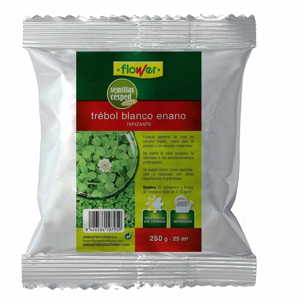 Semillas Trébol Blanco Enano 250gr Tapizante Robusto Tolerancia Sol Sombra Riego Moderado 25m2