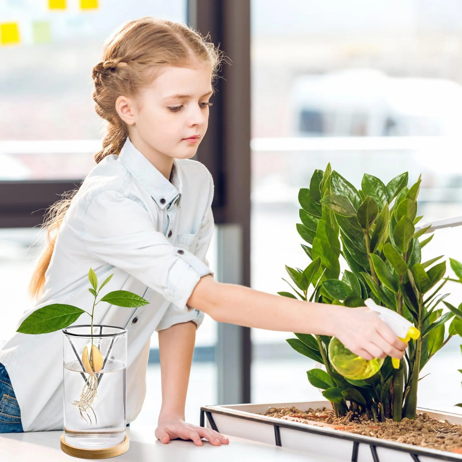 Kit de germinación de plantas de aguacate, jarrón de cultivo con base de madera, maceta de vidrio