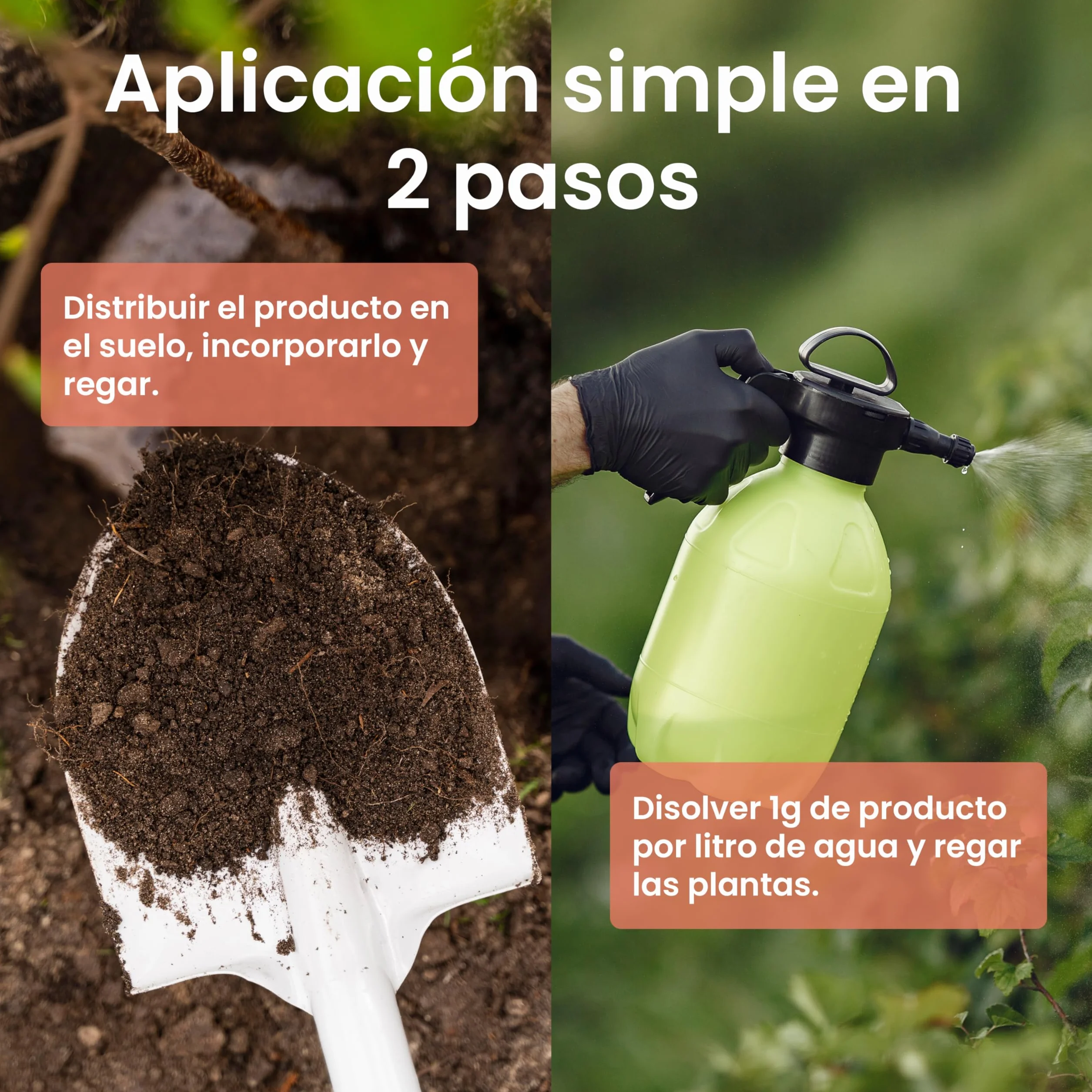 LERAVA Quelato de Hierro 200 g - Verdeante Soluble en Agua - Corrige Amarilleo - Mejora el Verde Natural - Apoya la Fotosíntesis - Ideal para Plantas y Cítricos