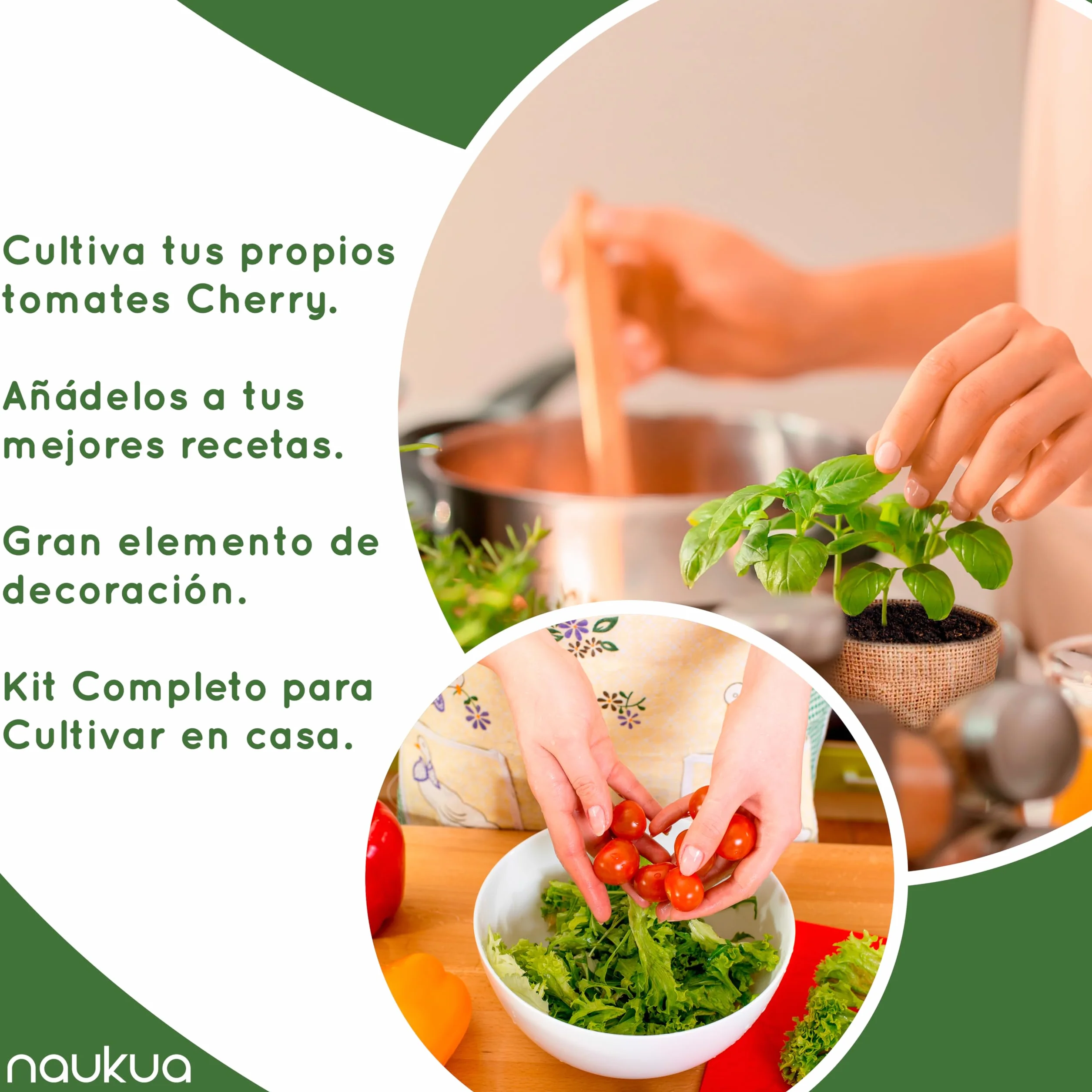 Kit Completo Mini Huerto Urbano Tomates Cherry Semillas Orgánicas España