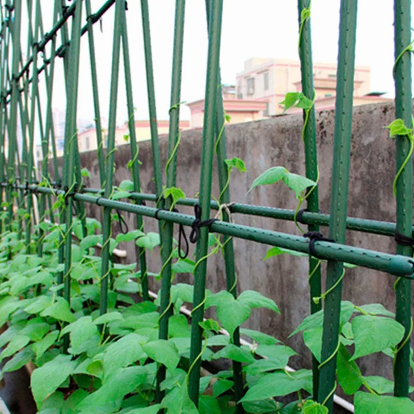AC Tutores de Acero Plastificado para Plantas 24 uds Ø 1,6 x 180 cm