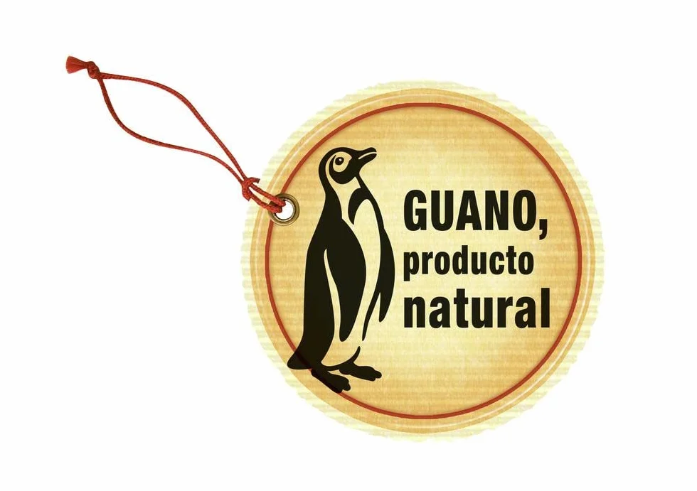 COMPO Fertilizante con guano para plantas de interior, 1 L