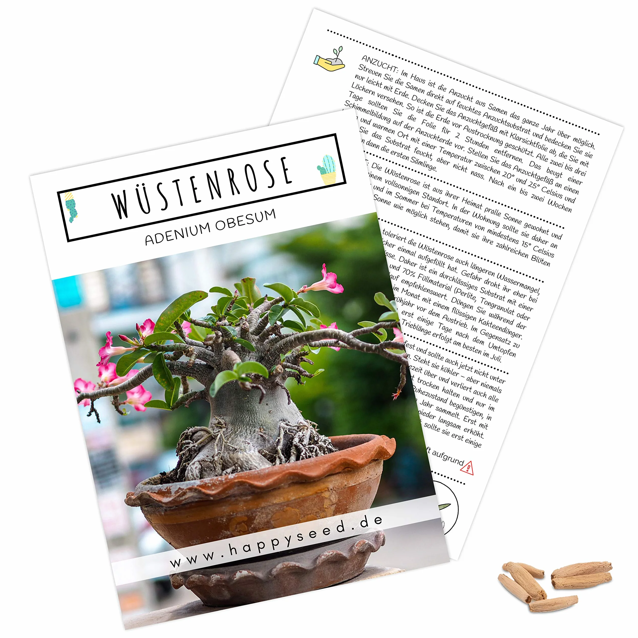 Semillas de cactus exóticas con alta germinación – Juego de semillas suculentas para cactus floreciente