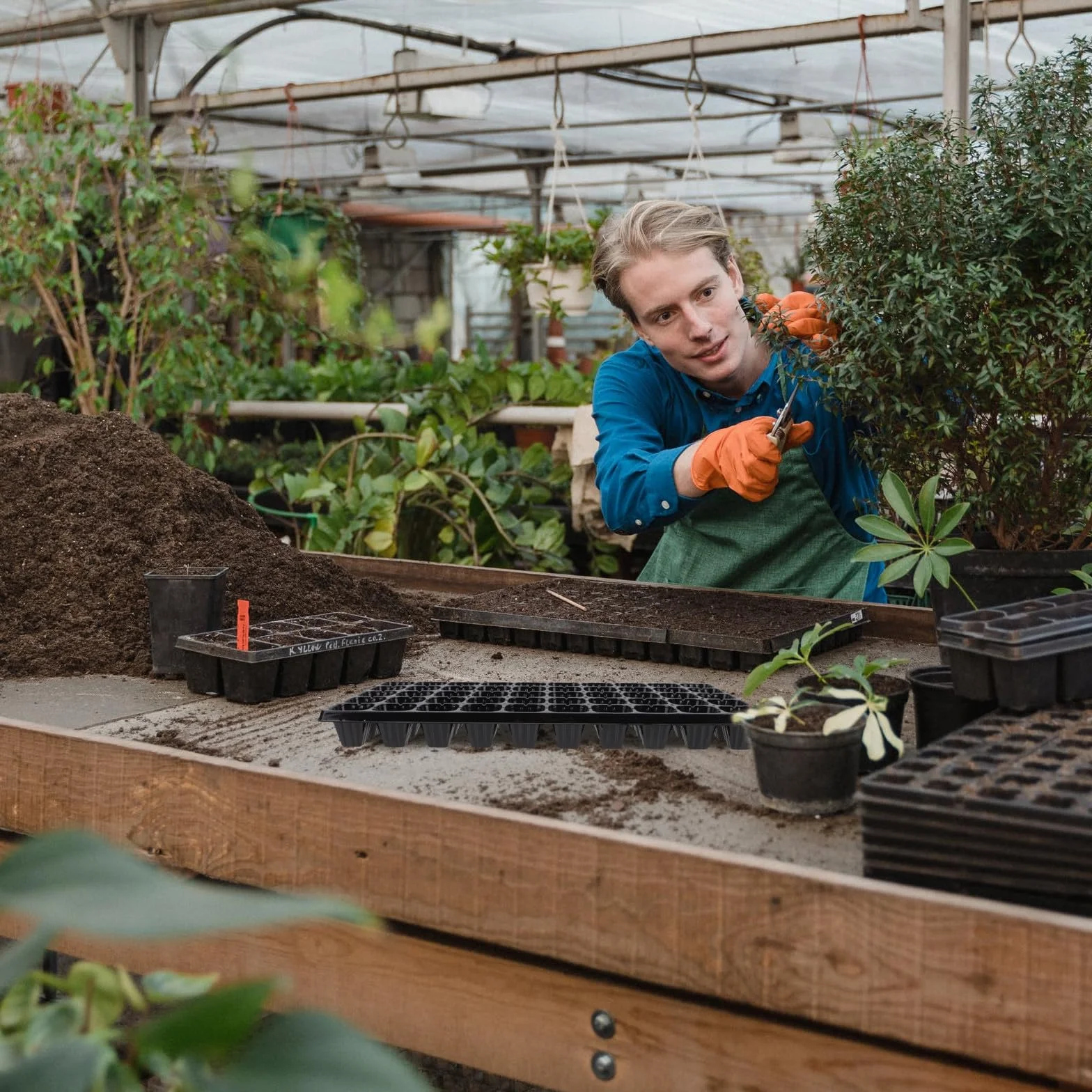 Olla para Plantar Jardín Diseño de 50 Agujeros, Bandeja de Germinación de Plantas Resistente Sequía y Material PP, Paquete de 10 Piezas para Cultivo Estable