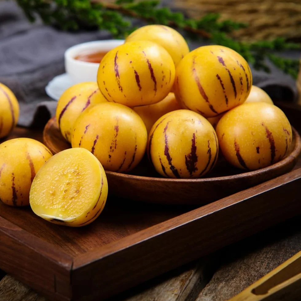 Melón pera resistentes para jardín bonsái 130 semillas