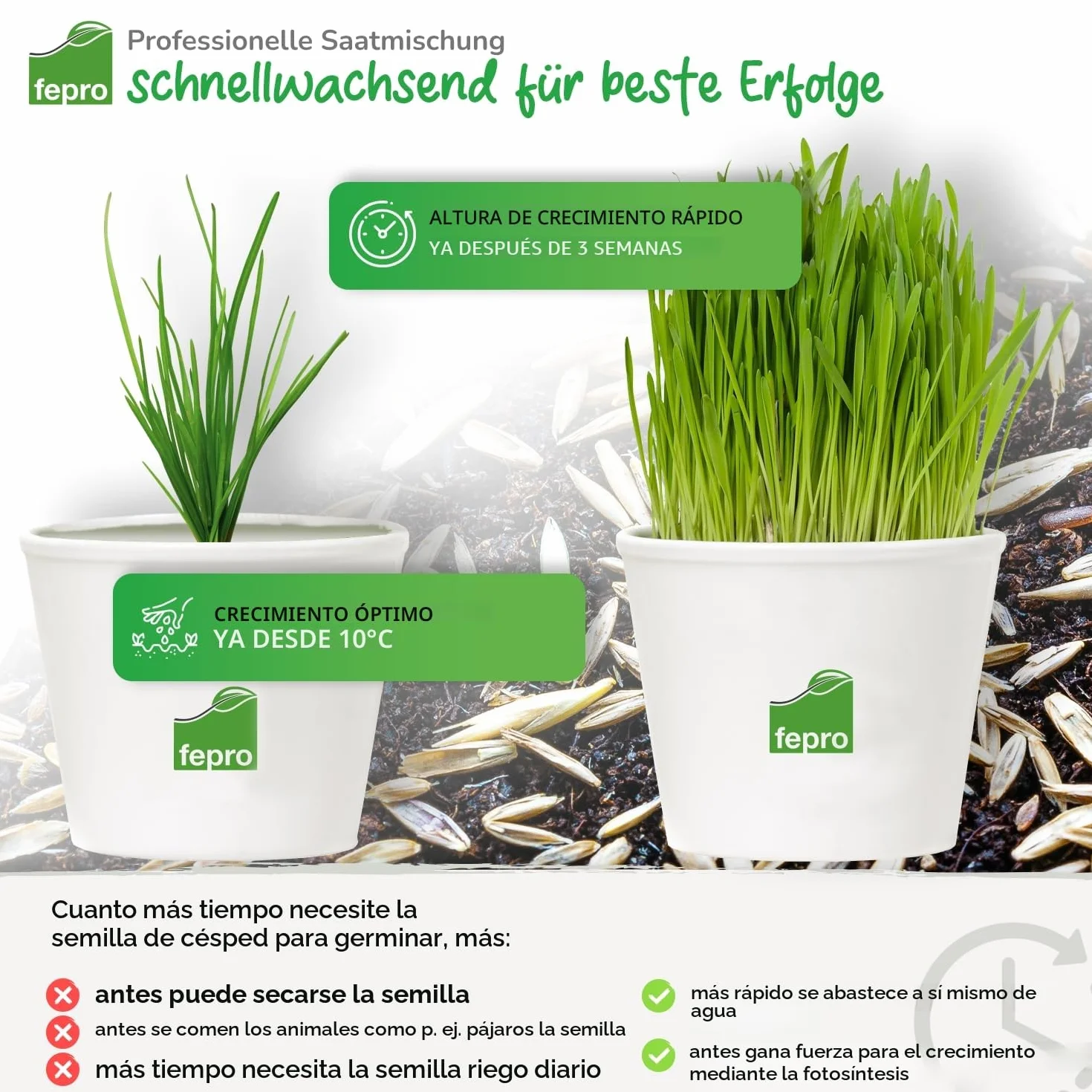 Semillas de césped 10 kg 400 m² germinación rápida color verde profundo para deportes y juegos