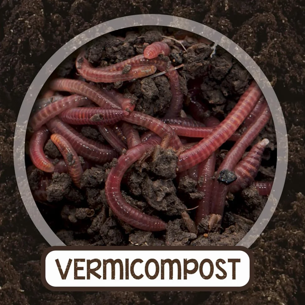 Humus de Lombriz 3 L 100% Vermicompost Ácidos Húmicos y Fúlvicos Mejora Suelo