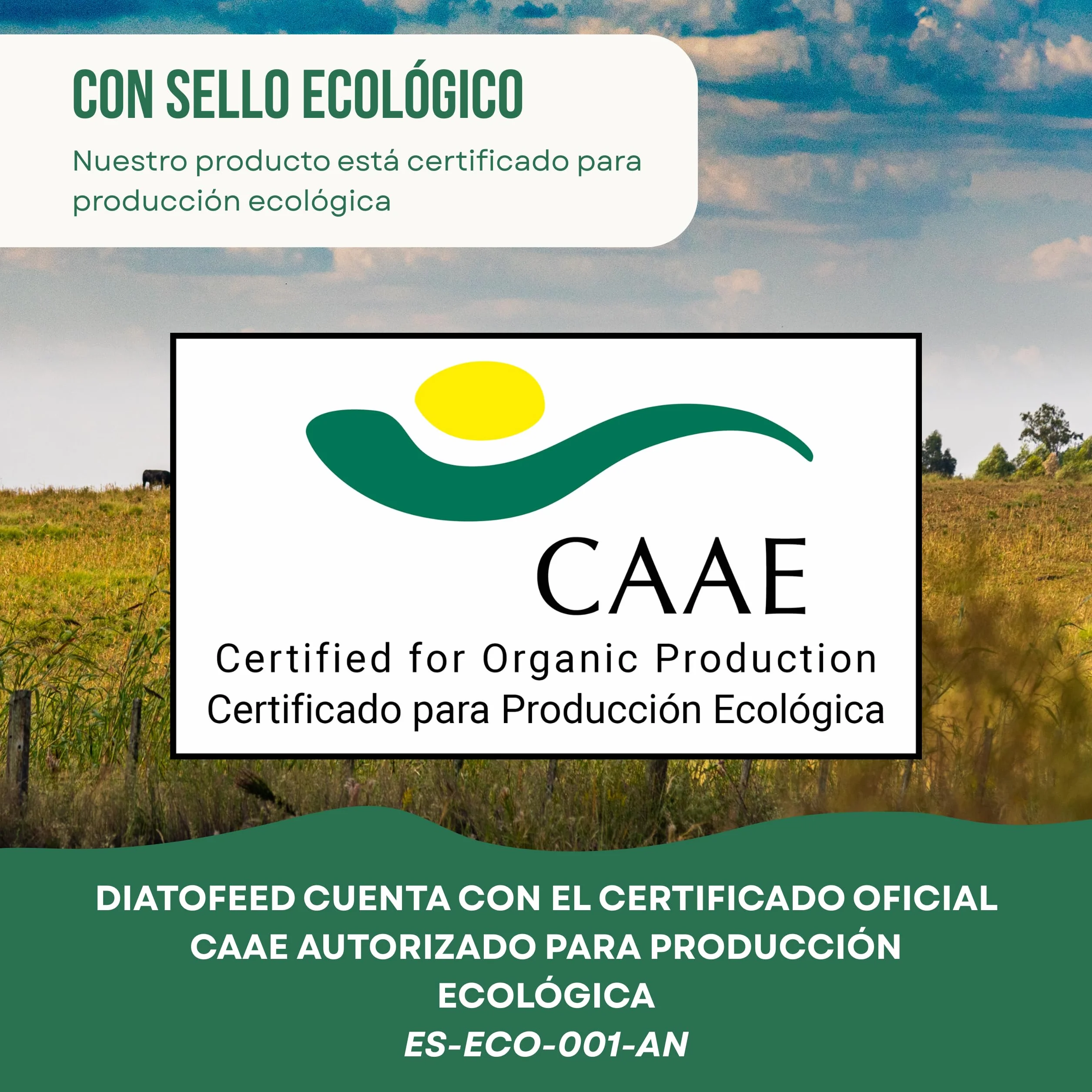ECO Tierra de Diatomeas 6kg Ecológica Grado Alimenticio para Animales Sin Calcinar Diatofeed Molida Certificada
