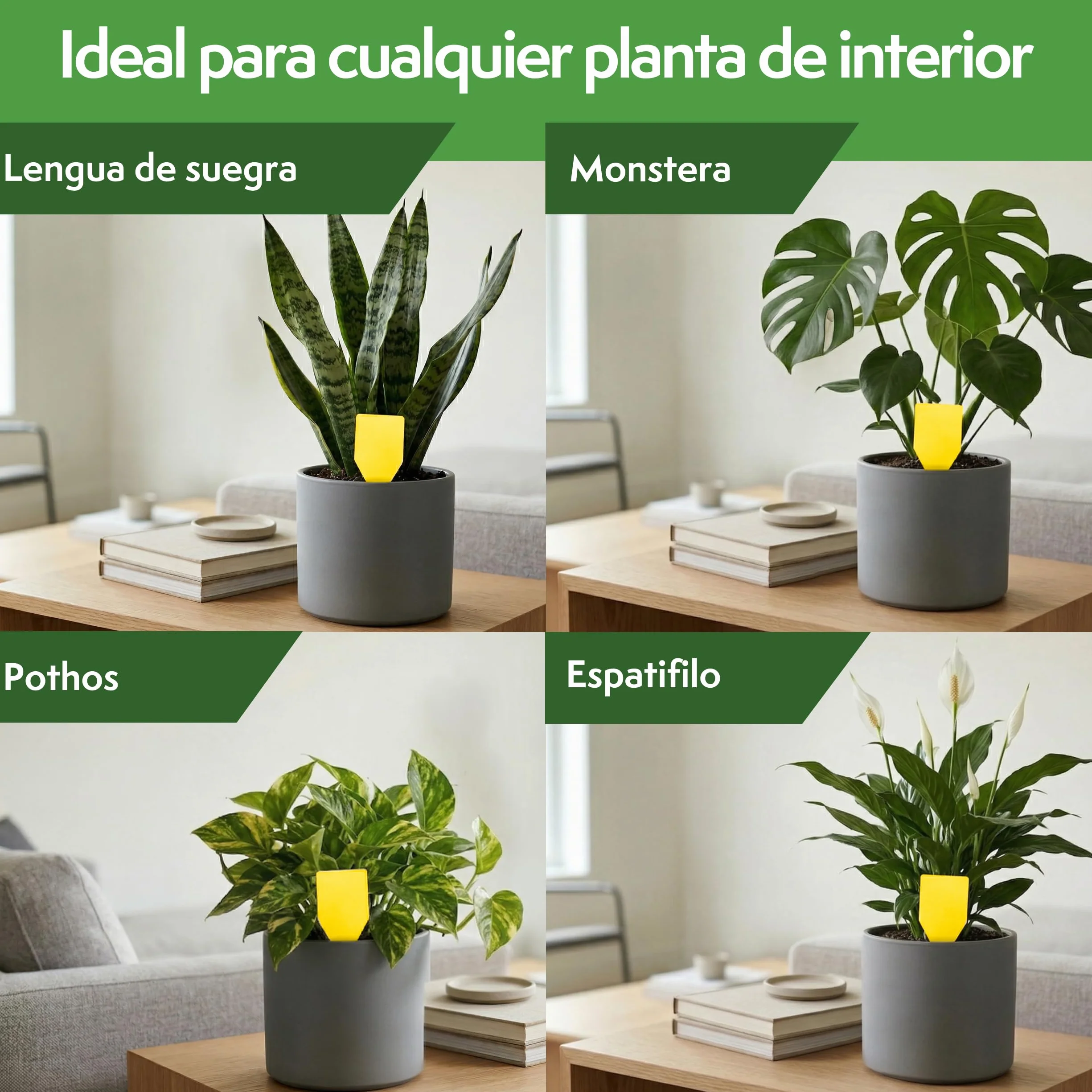 PATTLER Trampas Cromáticas Amarillas para Plantas 30 Unidades