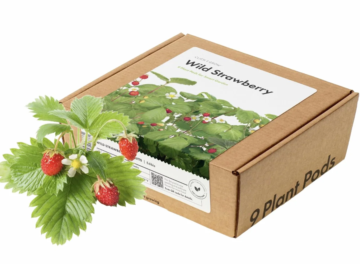 Click & Grow Recambio Cápsulas de Fresas Silvestres Kit de 9 Cápsulas