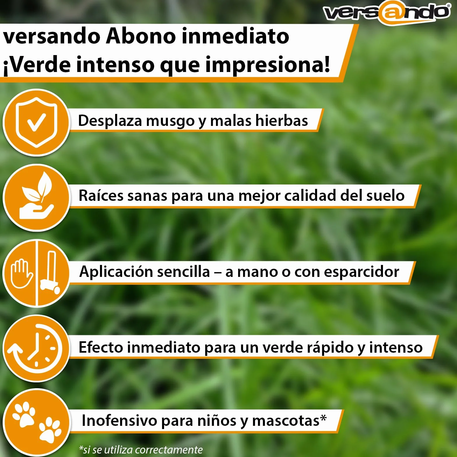 Versando Abono para Césped Verano 5kg 250m² Desplaza Musgo y Malas Hierbas