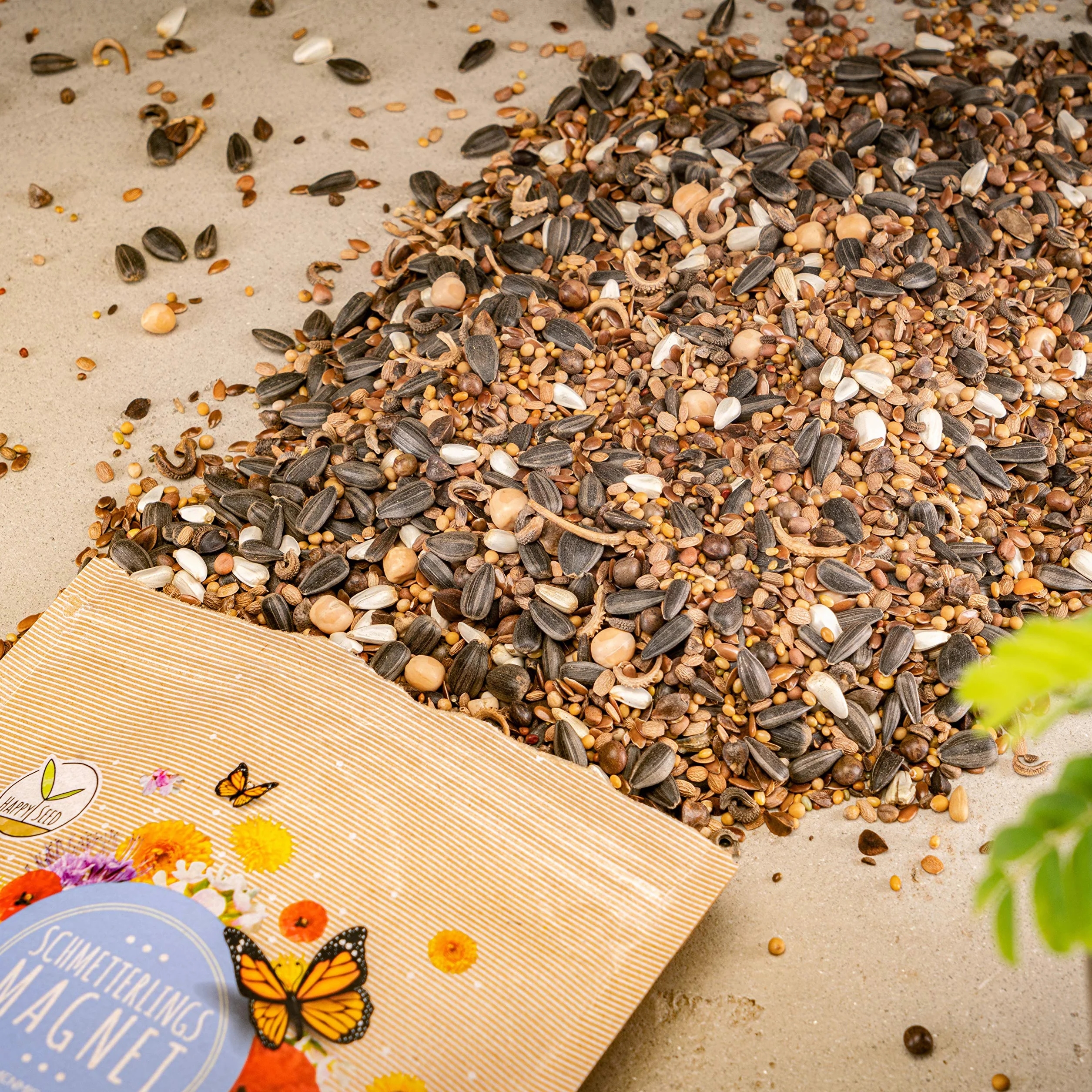 Semillas de prado de mariposas 100 g – Mezcla de flores silvestres ricas en néctar