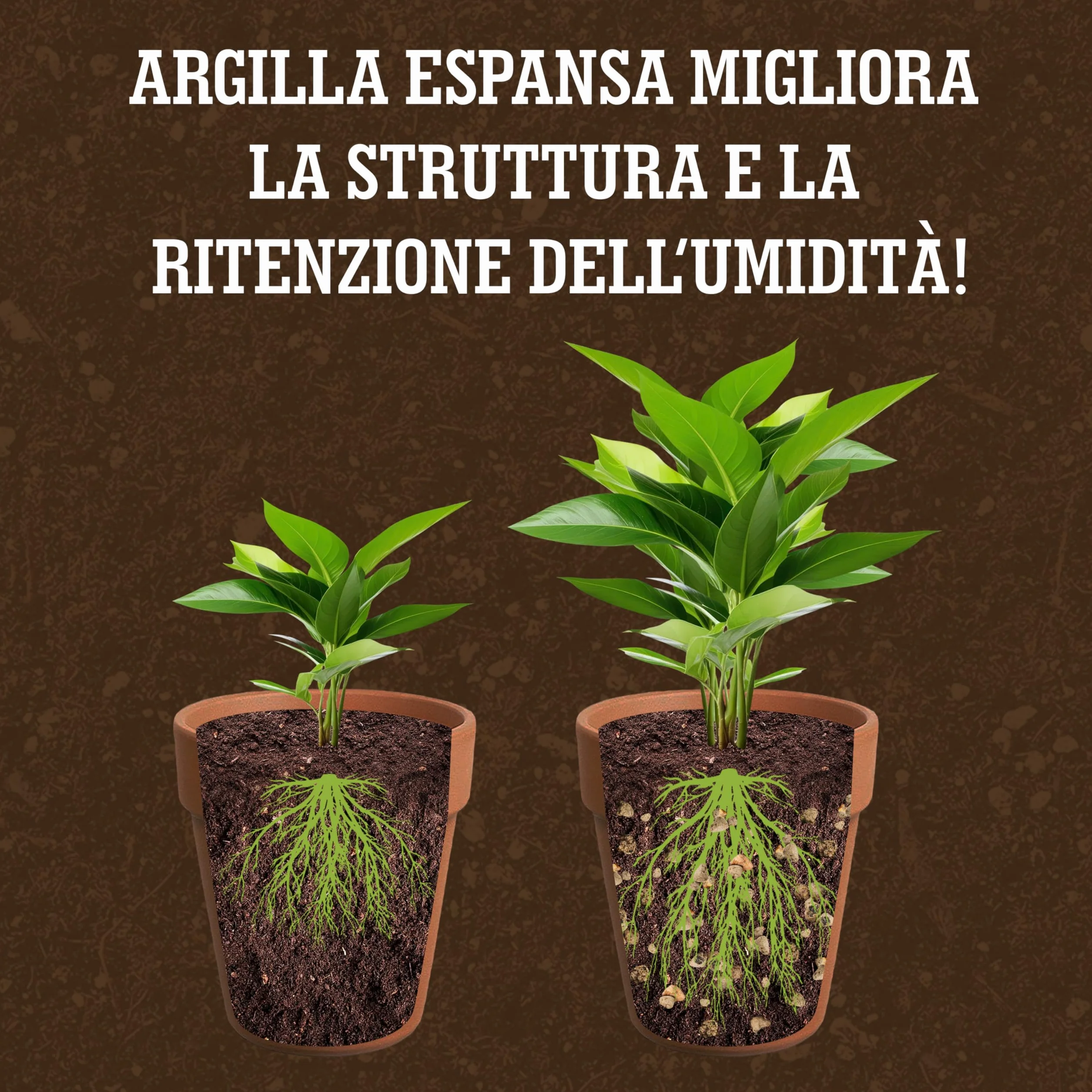 Arlita para Plantas Arcilla Expandida LERAVA (3L) Piedra Volcánica Decorativa y Sustrato de Drenaje