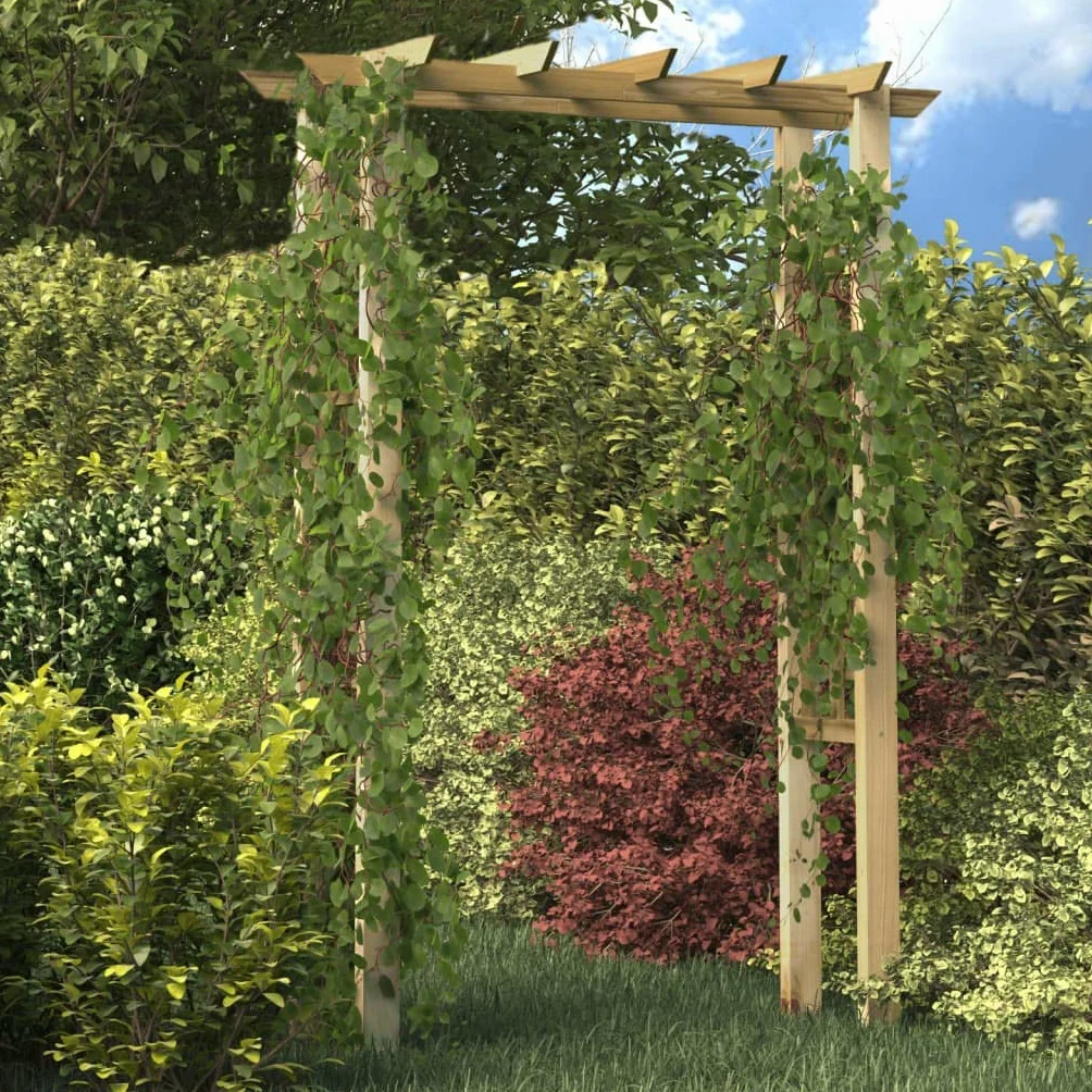 vidaXL Arco de Rosas de Jardín Madera de Pino Impregnada Cenador Exterior