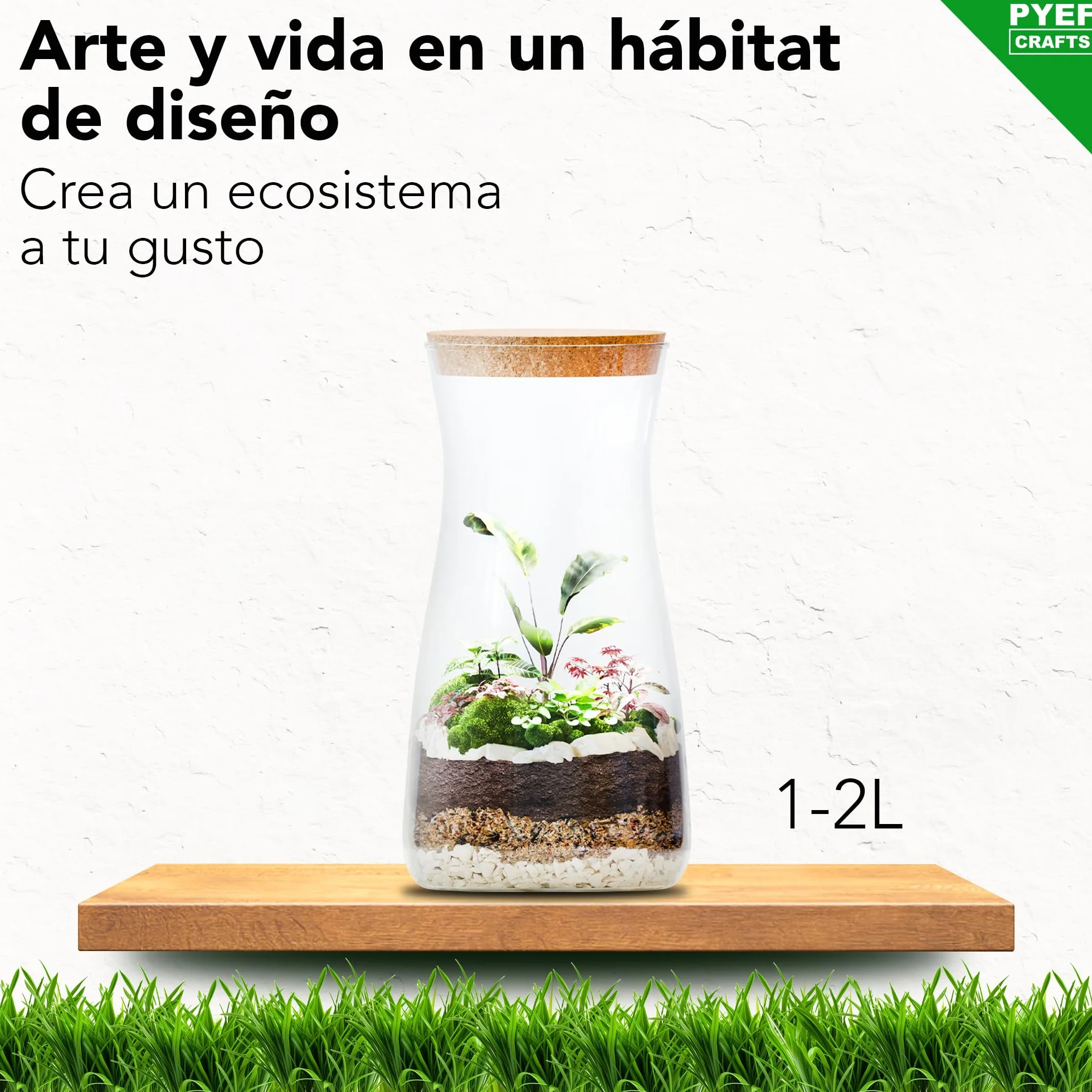 Kit Terrario Plantas DIY - Set Ecosistema Cerrado para Jardin en Botella 1-2L - Terrarium Interior - Kit Creacion Sin Planta