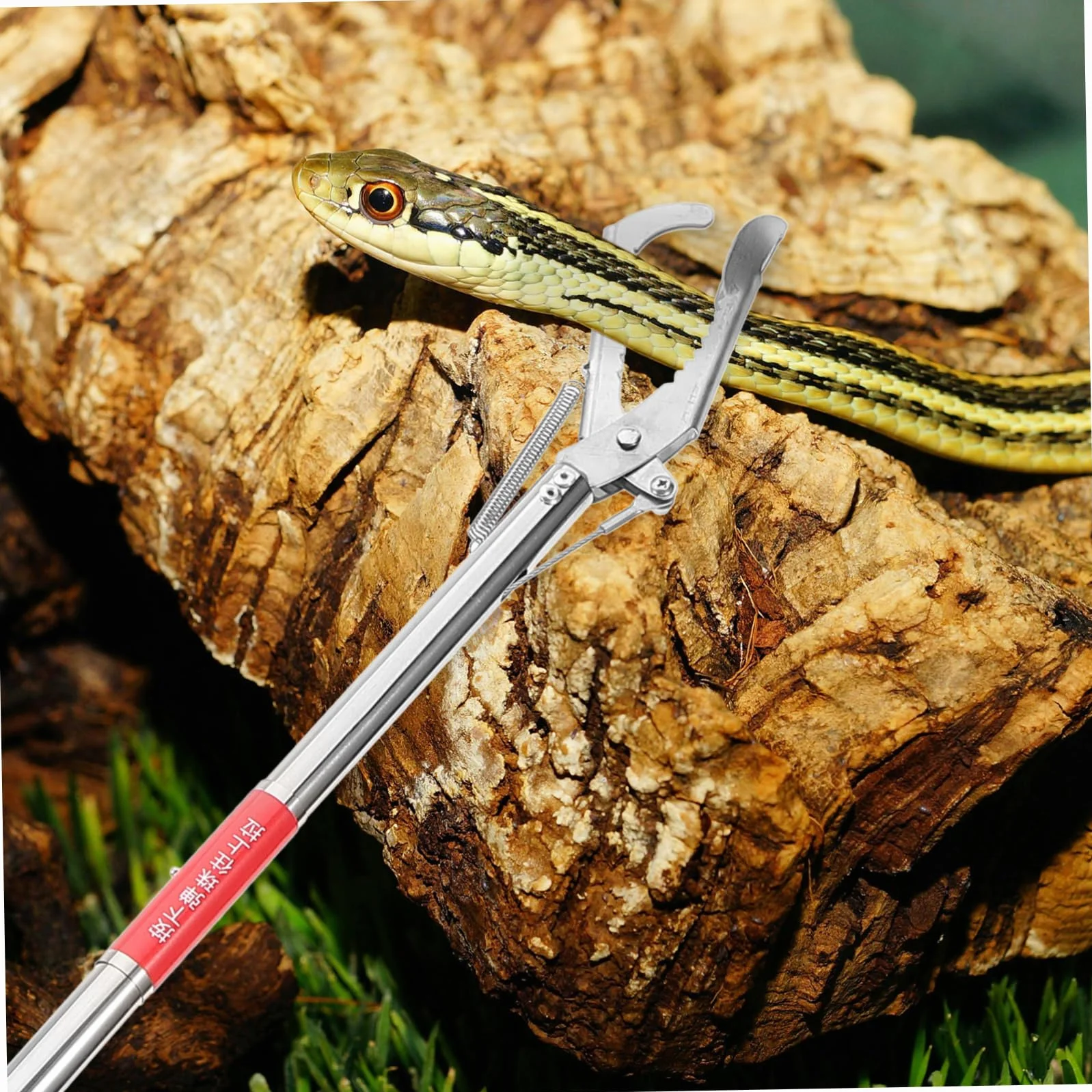 Alipis Pinza Multiusos Inoxidable para Cangrejos y Eels Herramienta de Pesca