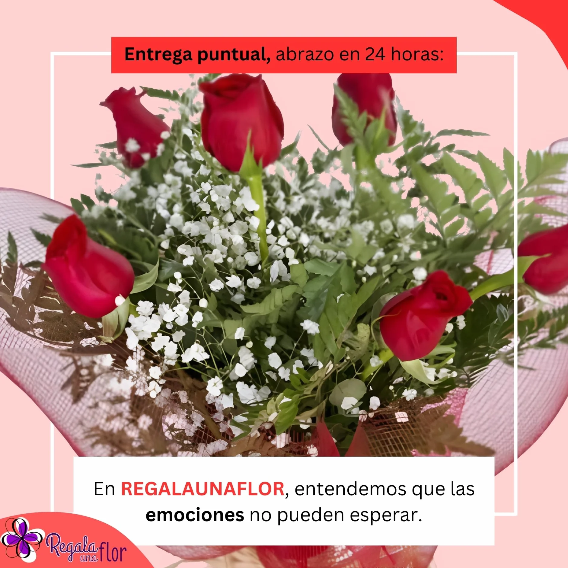 Ramo de 6 rosas naturales a domicilio con bombones y tarjeta