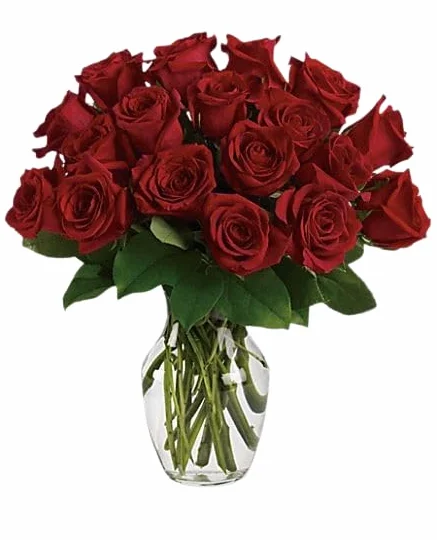 Ramo de Rosas Rojas Frescas con 25 Flores Románticas, Perfecto para Aniversarios y Celebraciones