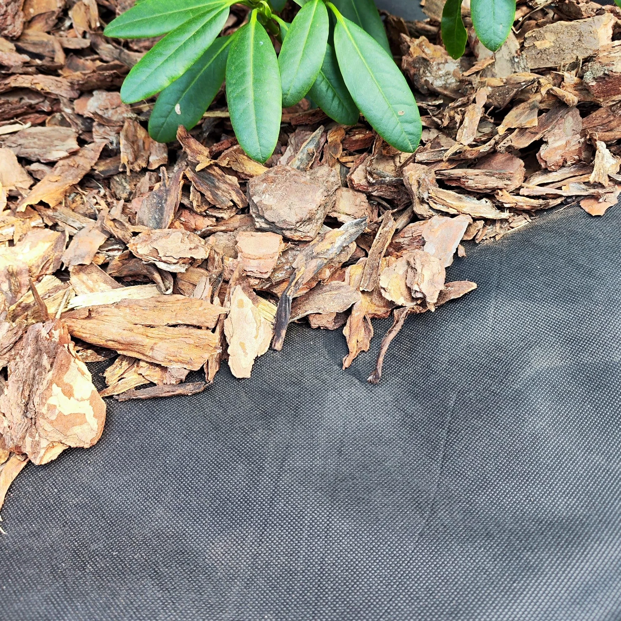 EraGreen Premium Tela antihierbas 150g/m² - 0,8m x 20m Tela para jardín, impermeable y UV-estable - Estera antihierbas ideal para jardín y jardinera elevada - Lámina de mantillo respetuosa con el