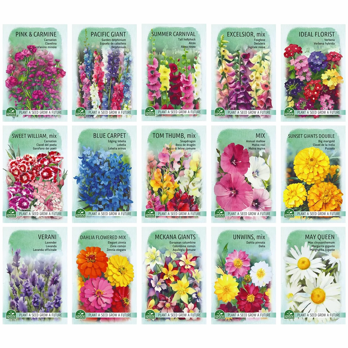 Flower Seed Collection Cottage Garden Border Favorites Non-GMO