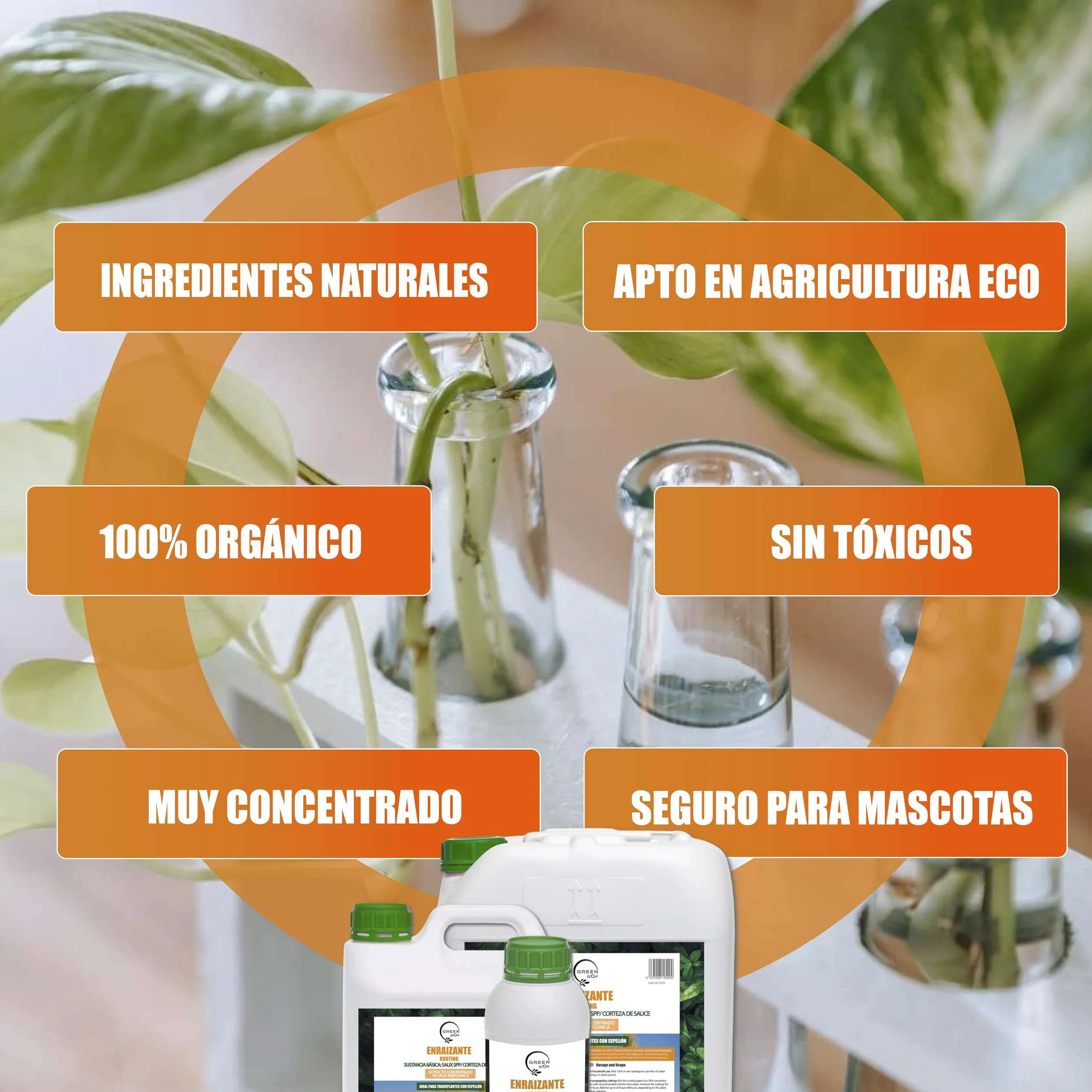 GREENGOF Enraizante Líquido 1L Orgánico con Hormonas Naturales