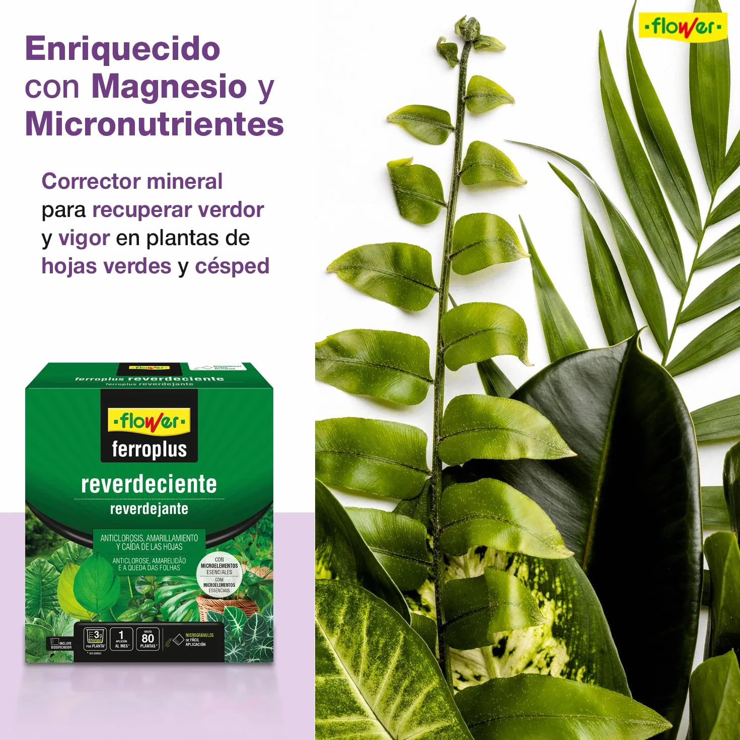 Ferro-Plus Reverdeciente 250g Corrector de Clorosis Aporta Magnesio y Micronutrientes