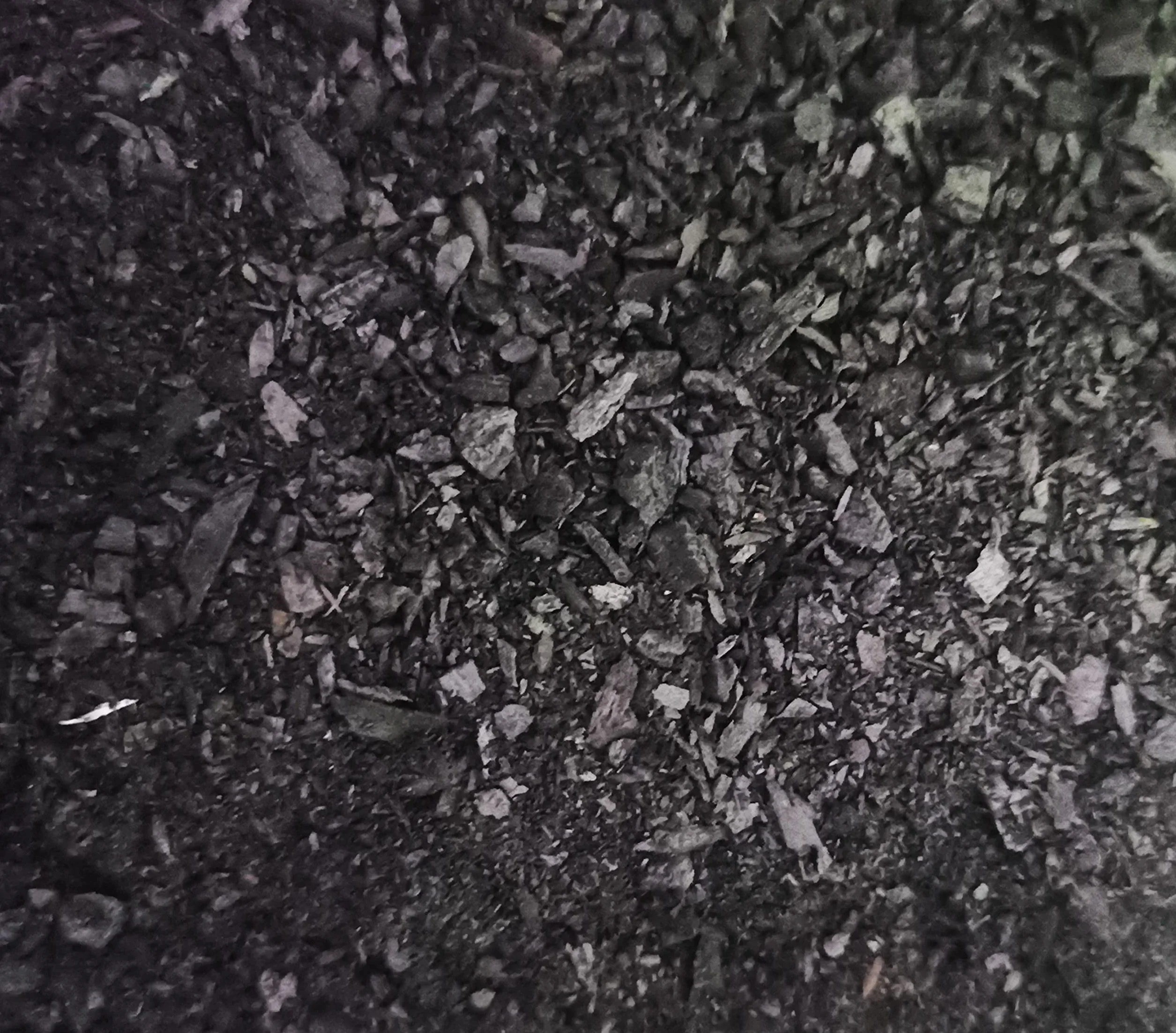 CULTIVERS Biochar Carbón Vegetal 40 L (8kg) Mejorador de Suelo Ecológico para Huerto, Césped, Compost y Plantas